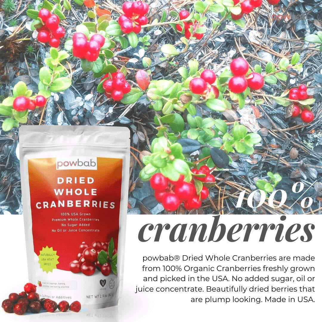 Powbab Dried Cranberries Unsweetened - 100% Usa Grown Organic Dried Cranberries. No Sugar Added, No Oil, No Apple Juice Concentrate Infused, No Sulfites. Dried Fruit. Not Sweetened Or Reduced (2.9 Oz)