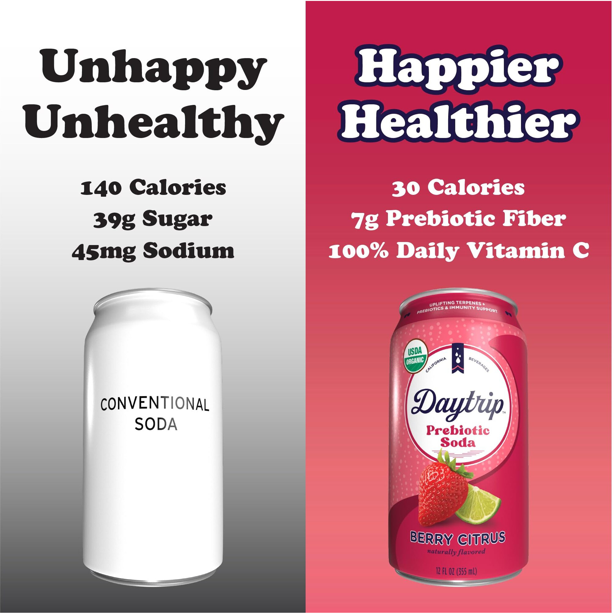 Daytrip Prebiotic Soda Drink | Certified Usda Organic | Mood Boosting Prebiotic Drink (12 Pack Of 12Oz Cans) | Berry Citrus