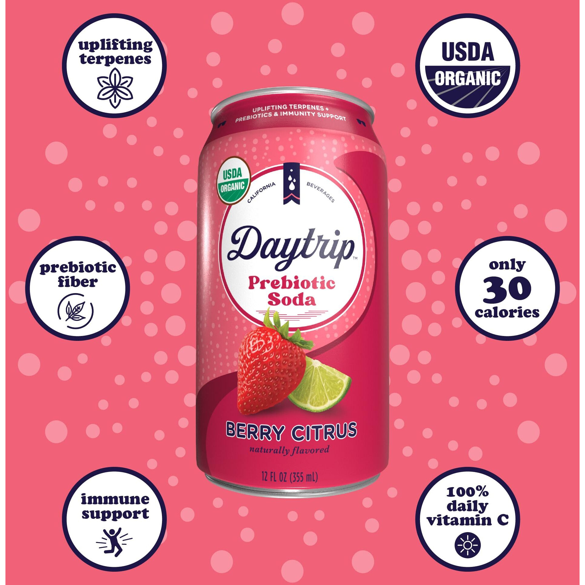 Daytrip Prebiotic Soda Drink | Certified Usda Organic | Mood Boosting Prebiotic Drink (12 Pack Of 12Oz Cans) | Berry Citrus