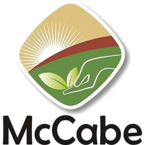Mccabe Organic Rye Berries - Whole Rye Berries 2 Lbs | Usda Certified Organic And Ccof Certified | Product Of Usa
