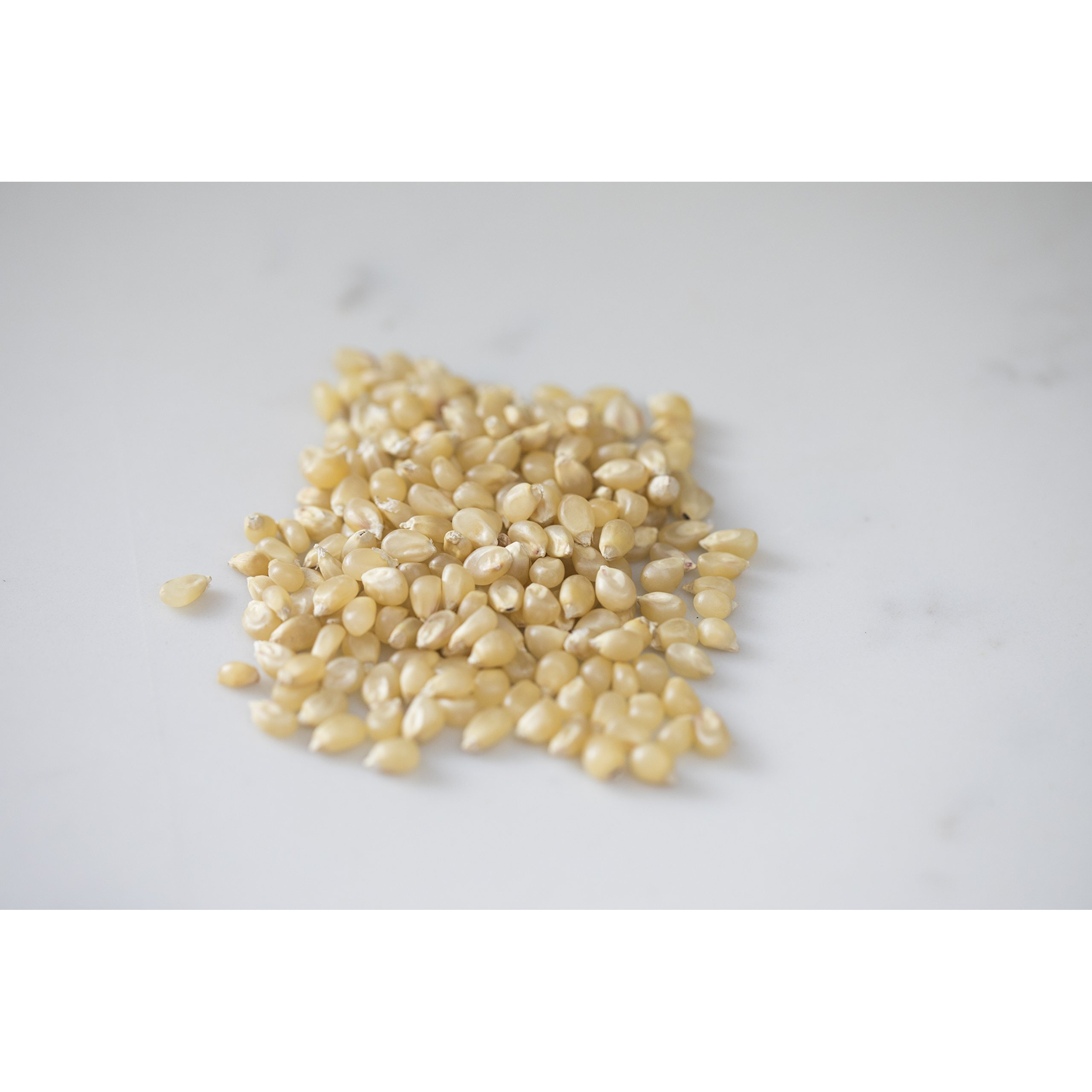 Amish Country Popcorn | 6 Lb Bag | Medium White Popcorn Kernels | Old Fashioned, Non-Gmo And Gluten Free (Medium White - 6 Lb Bag)