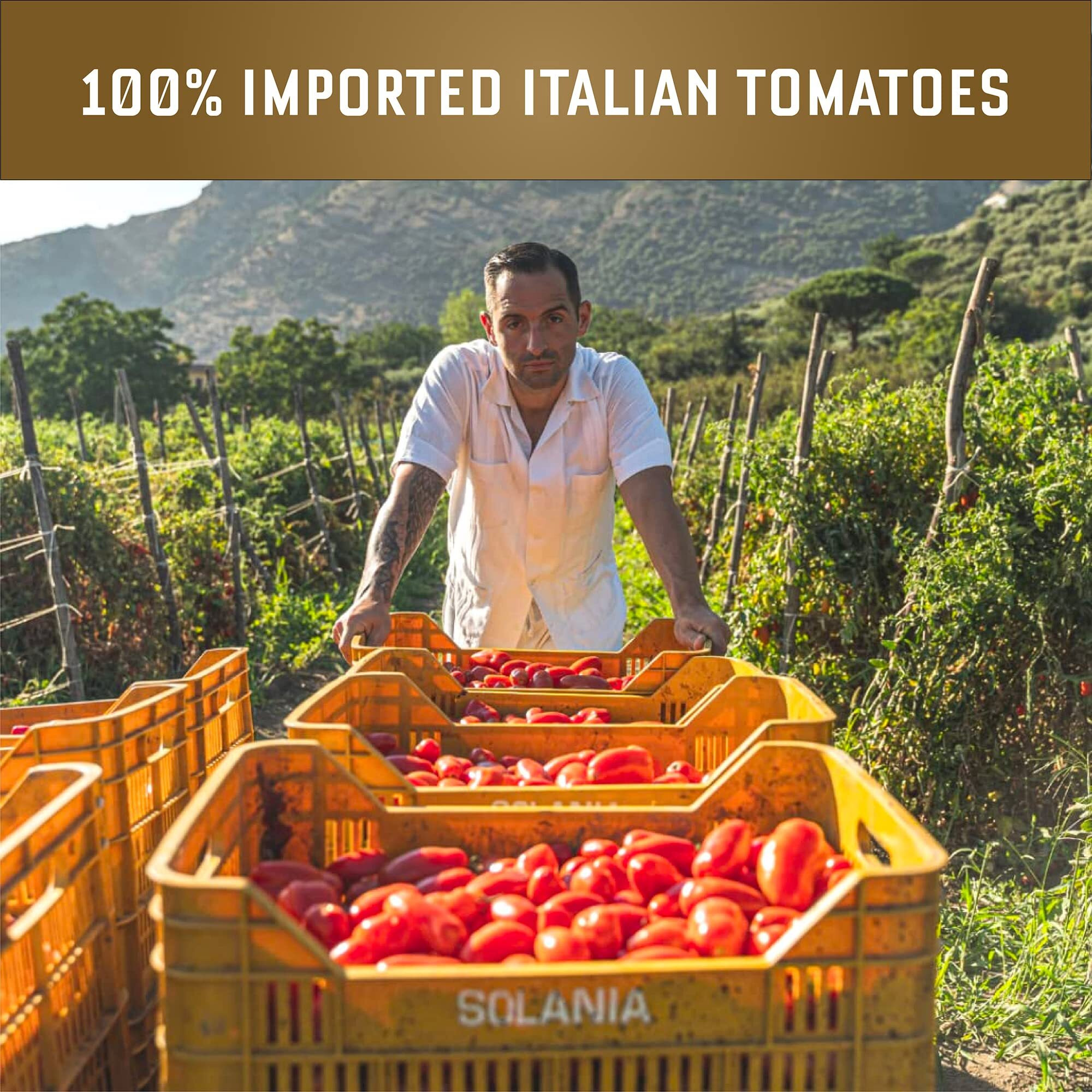 Carbone Pasta Sauce Variety Pack Of Tomato Basil, Marinara, Arrabbiata, Roasted Garlic, Tomato Sauce Made With Fresh, Natural Ingredients, Non Gmo, Vegan, Gluten Free, Low Carb, 24 Fl Oz (Pack Of 4)