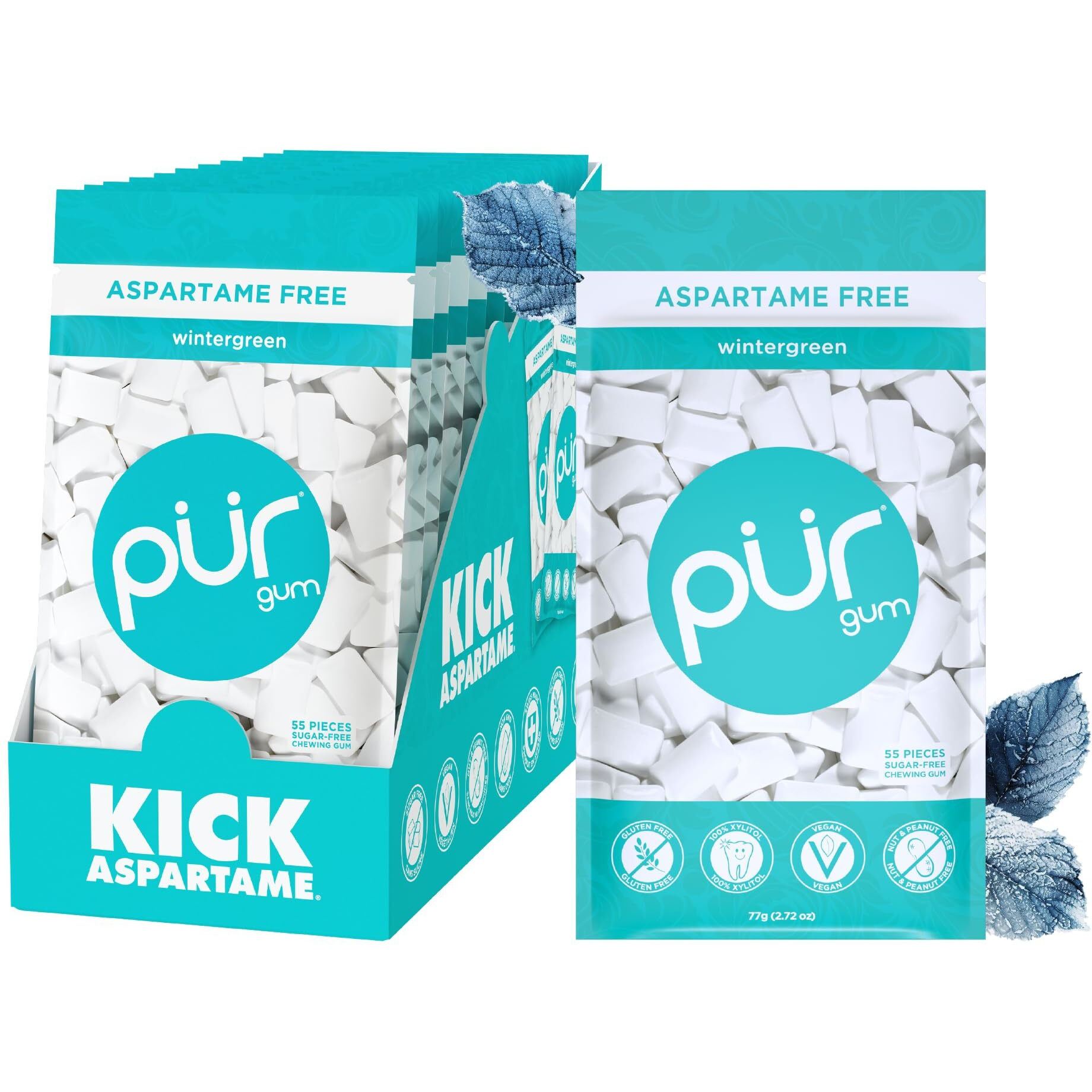 Pur Gum | Aspartame Free Chewing Gum | 100% Xylitol | Natural Wintergreen Flavored Gum, 55 Pieces (Pack Of 12)