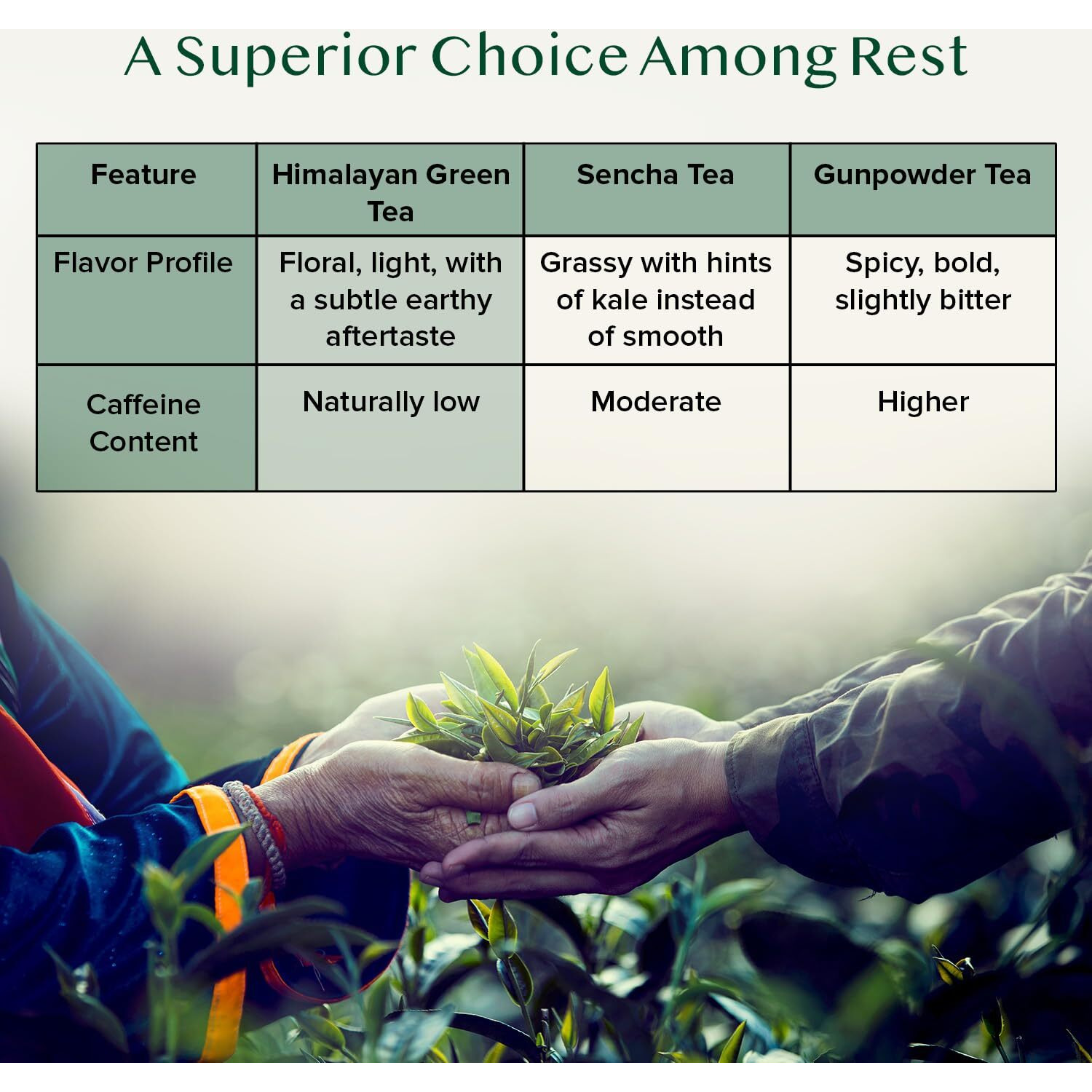 Vahdam, Himalayan Green Tea Leaves (50+ Cups, 3.53 Oz) Non Gmo, Gluten Free | High Elevation Grown Green Tea Leaves From Himalayas | Pure Unblended Single Origin Green Loose Leaf Tea | Vacuum Sealed