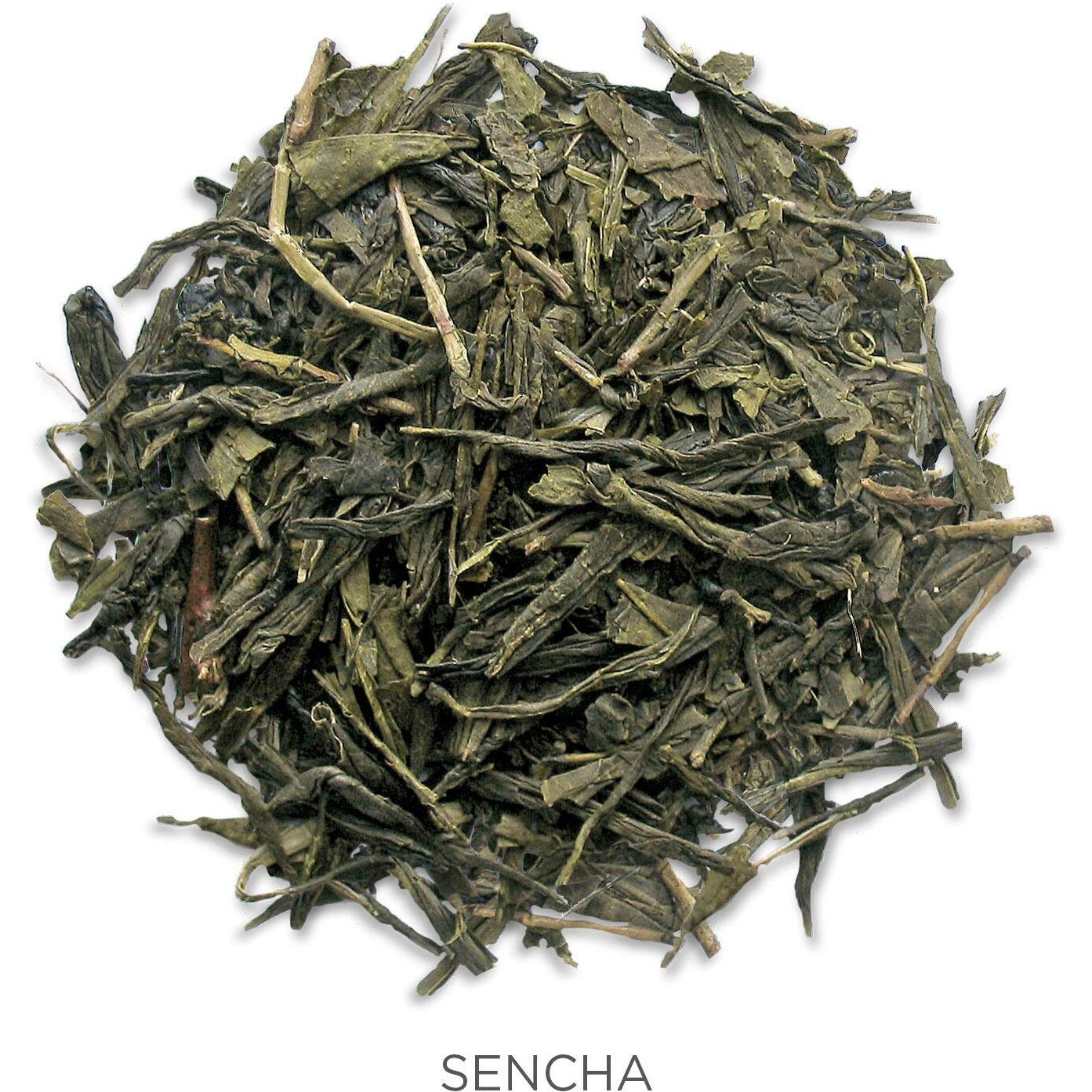 Tea Forte Organic Green Tea, Makes 35-50 Cups, 2.82 Ounce Loose Leaf Tea Canister, Sencha