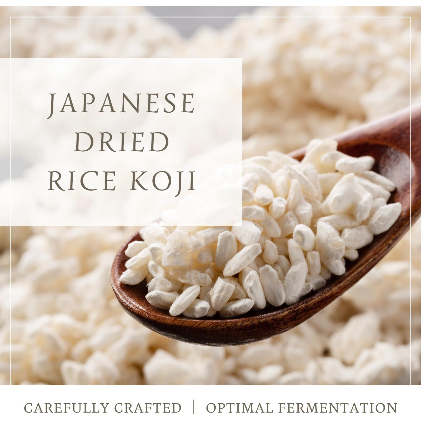 Dried Rice Koji 28.2Oz (800G) - Carefully Made In Japan, Miso, Shoyu, Shio-Koji, Molted Rice, Oryzae (800G)