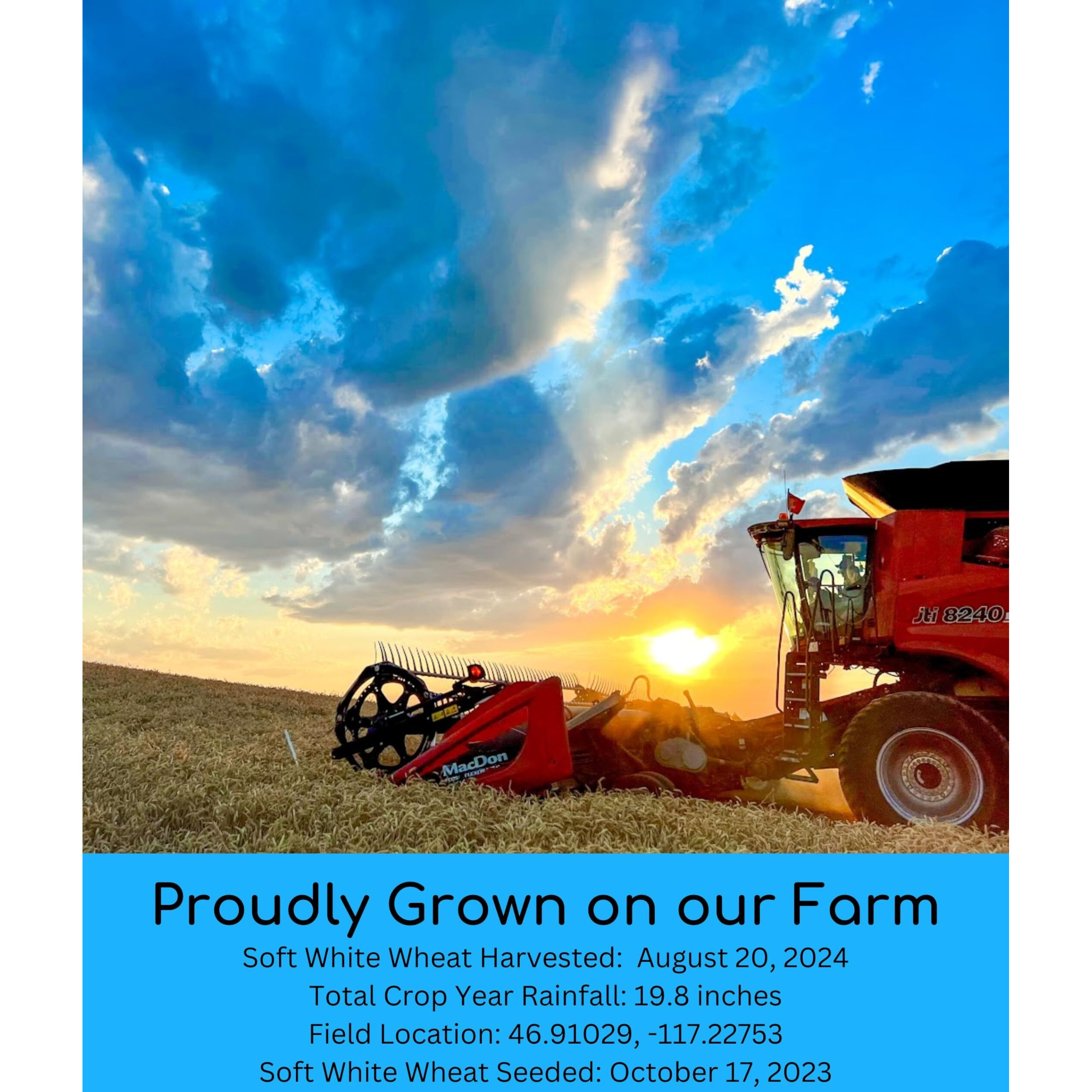 Hard White Wheat | Soft White Wheat | Hard Red Spring Wheat | 15 Lbs | 100% Desiccant Free | Non-Gmo Project Verified | Kosher Parve | Usa Grown | Field Traced | (5 Pound, Pack Of 3