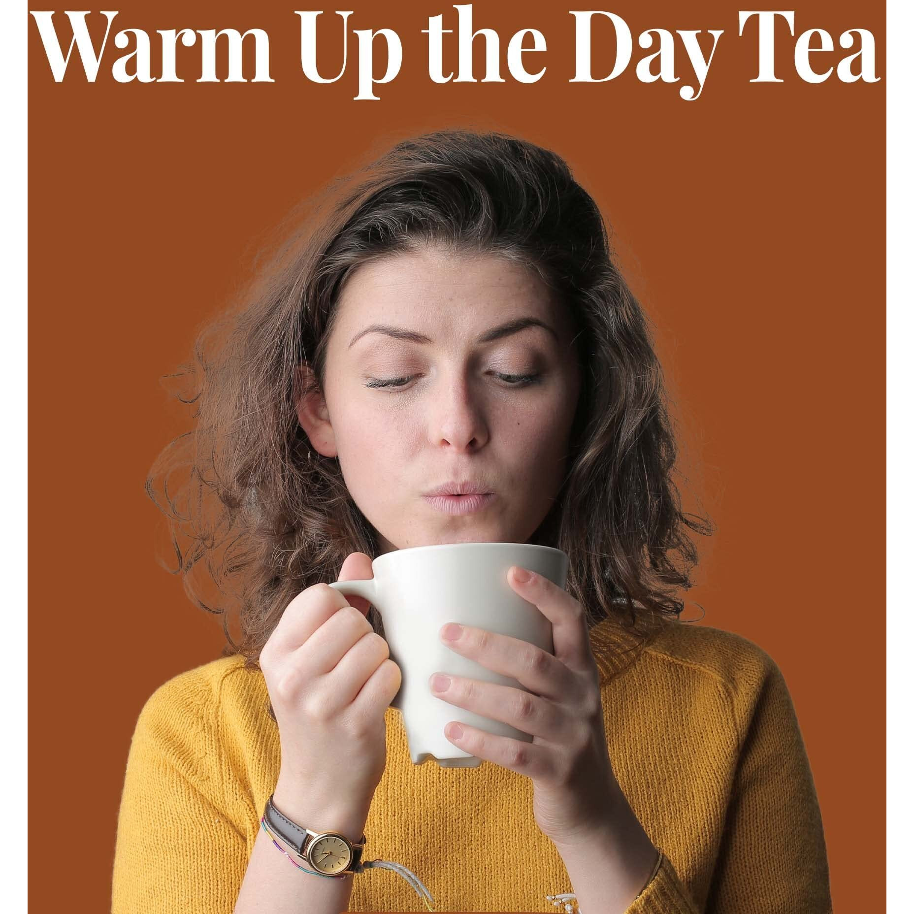 The Republic Of Tea - Pumpkin Spice Black Tea, 50 Tea Bags