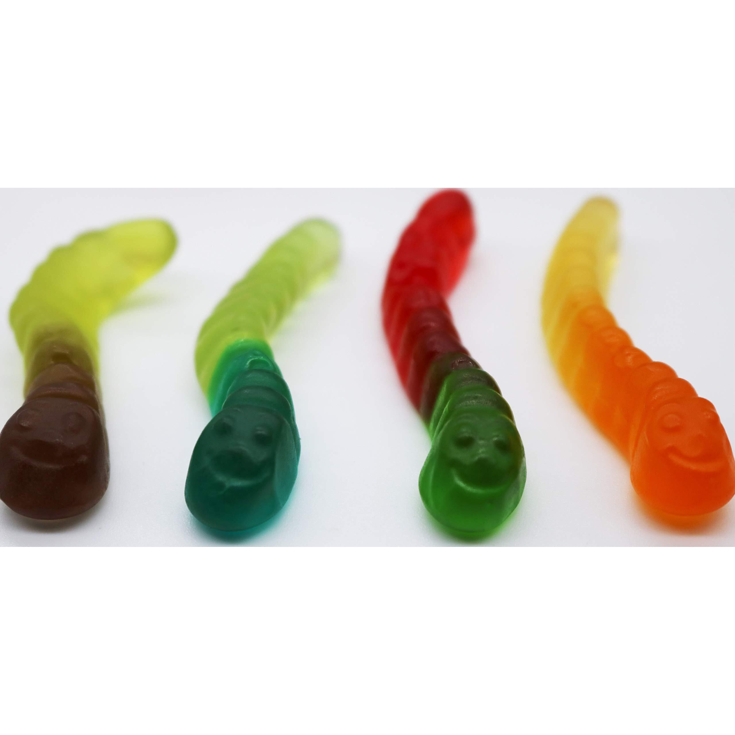 Smarty Stop Worm Gummy Candies (Assorted Fruit Worm, 5 Pound (Pack Of 1))