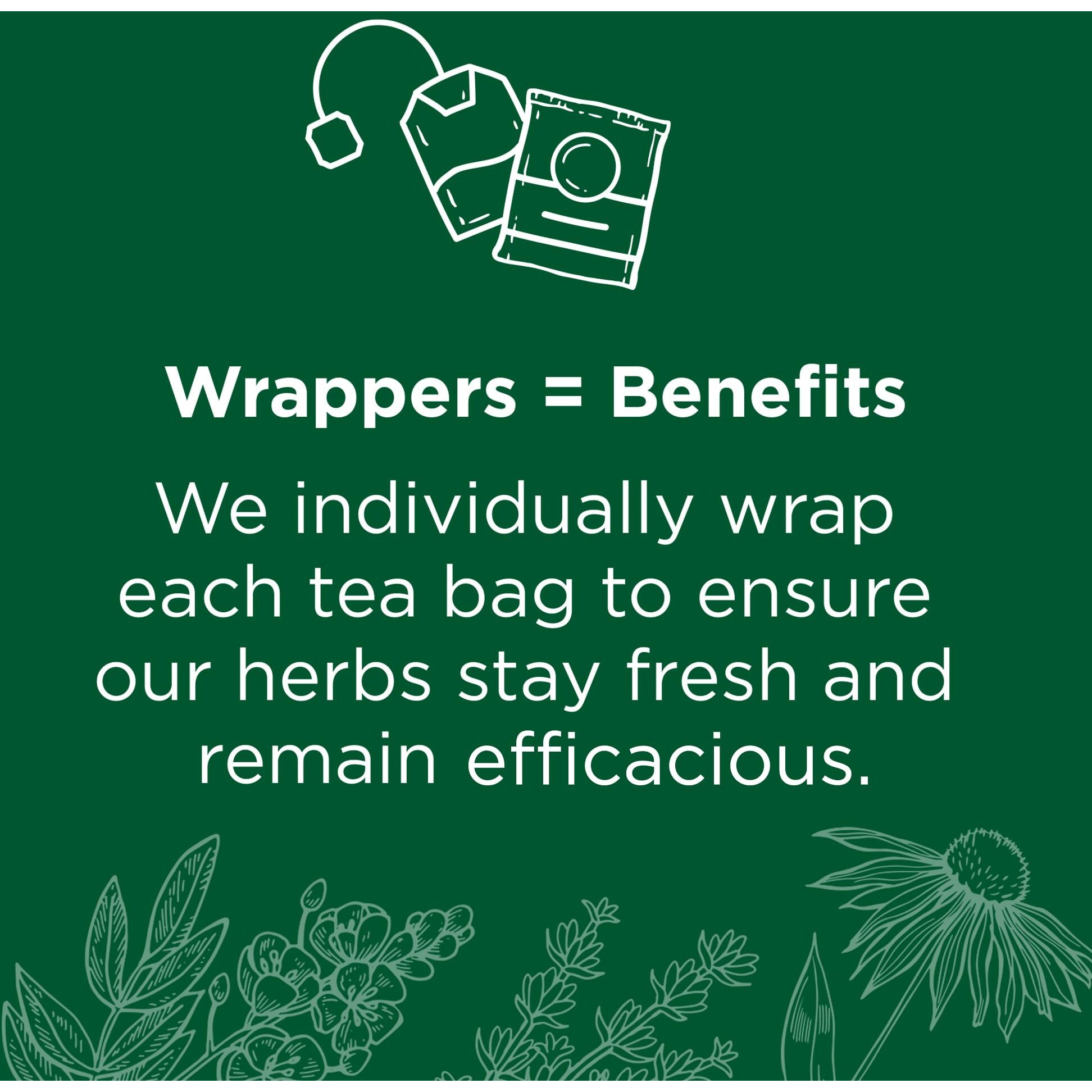 Traditional Medicinals Tea, Organic Spearmint, Supports Everyday Wellness, Healthy & Refreshing - 48 Tea Bags