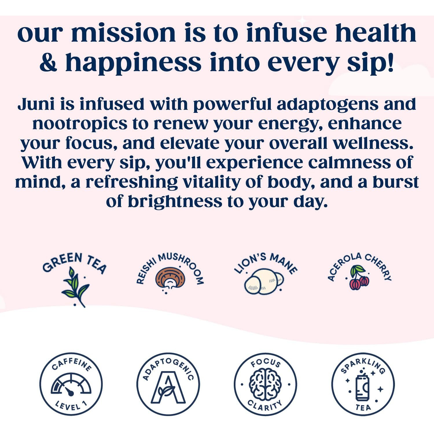 Juni Sparkling Tea With Adaptogens, Raspberry Tea, Zero Sugar, 5 Calories, Organic, Iced Tea, Natural Caffeine From Green Tea, Vegan, Adaptogen Drink, 12 Fl Oz Cans (12-Pack)