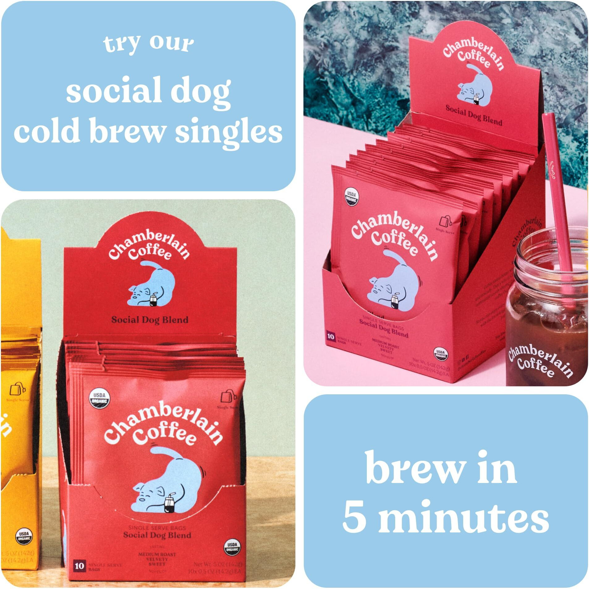 Chamberlain Coffee Social Dog Blend Cold Brew Singles - Full Bodied, Medium Roast Organic Coffee Single Serve Bags With Notes Of Sweet Milk Chocolate, Roasted Peanuts, Velvety Brown Sugar & Graham
