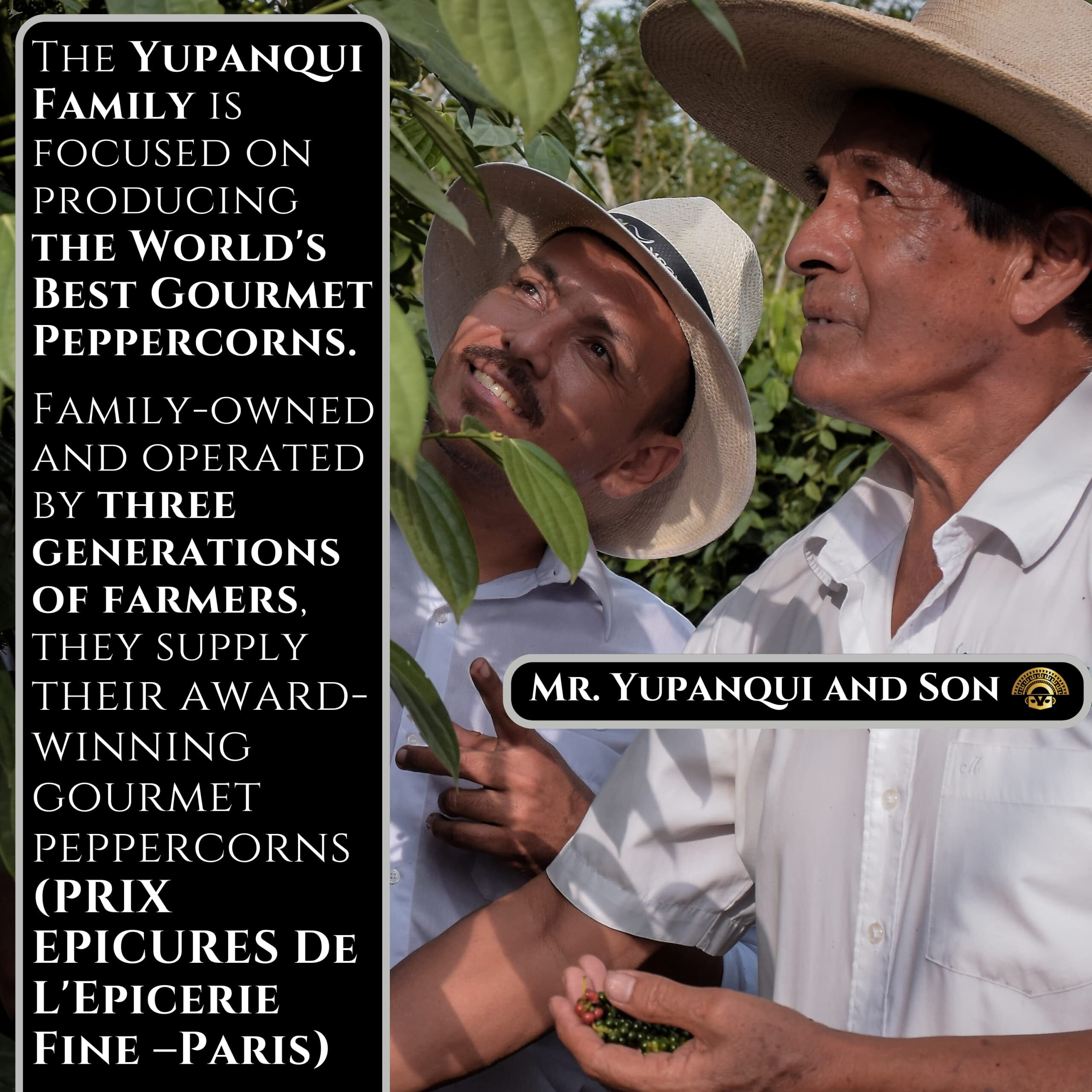Yupanqui Organic Black Peppercorns For Grinder Refill Award-Winning Organic Black Pepper Corns 17.6Oz Gourmet Peppercorns Whole