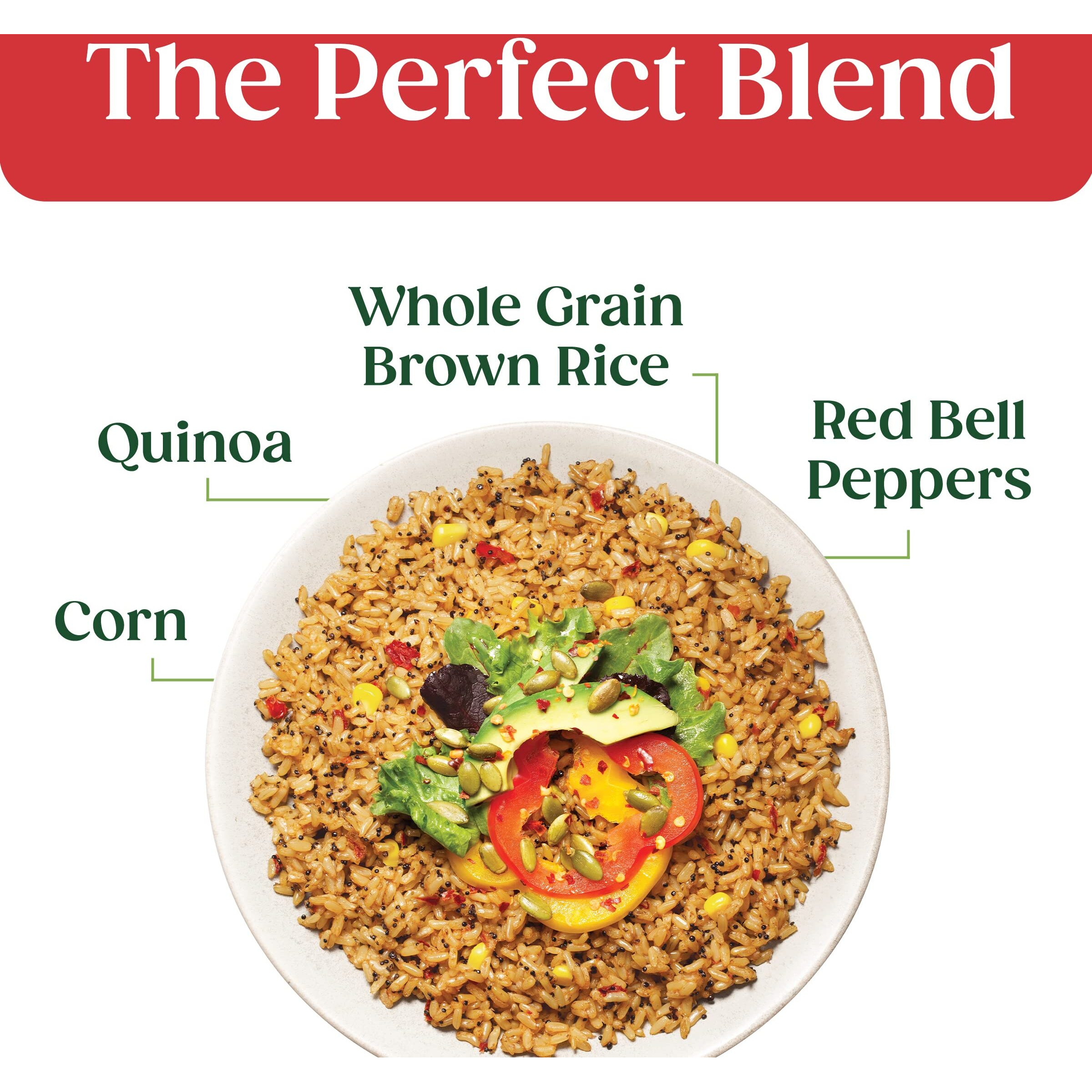 Seeds Of Change Organic Spanish Style Rice 8.5 Ounce (Pack Of 12)