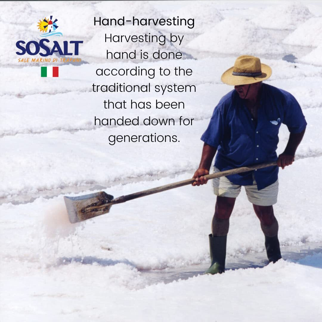 Sosalt Dal Mare Di Trapani, Fine Sea Salt From Sicily, Foodservice Bucket, (5Kg) 11 Lb, All Natural, Mediterranean Sea Salt Bulk, Kosher.