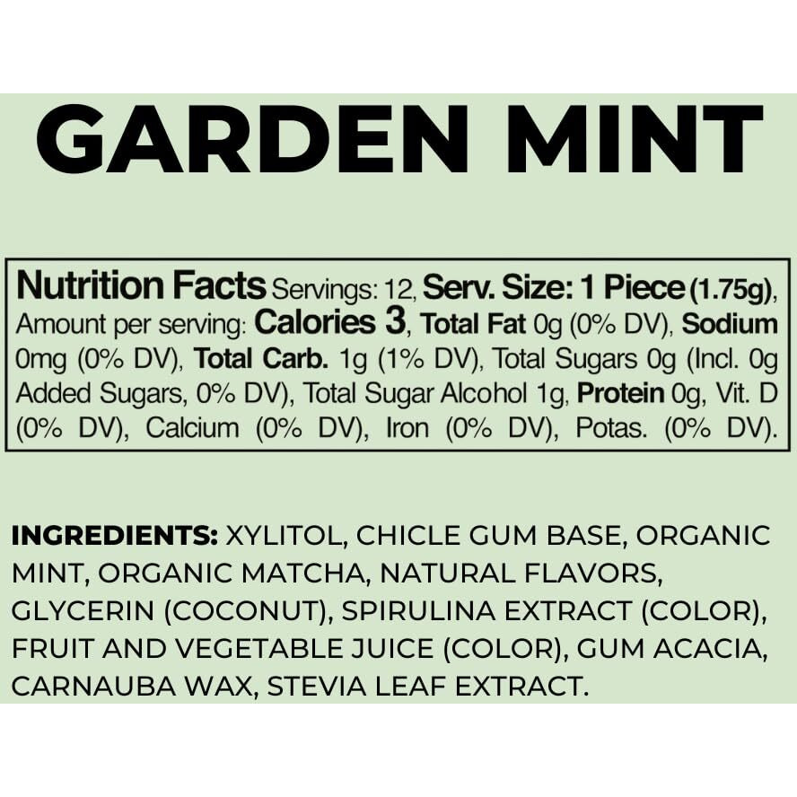 Refresh Plant Based Gum, Sugar Free, Long Lasting Chewing Gum With Stevia, Xylitol, Natural Flavors & Organic Ingredients, Low Calorie, Non Gmo, Gluten Free, Vegan, Garden Mint Flavor, 12 Pcs, 6 Pack