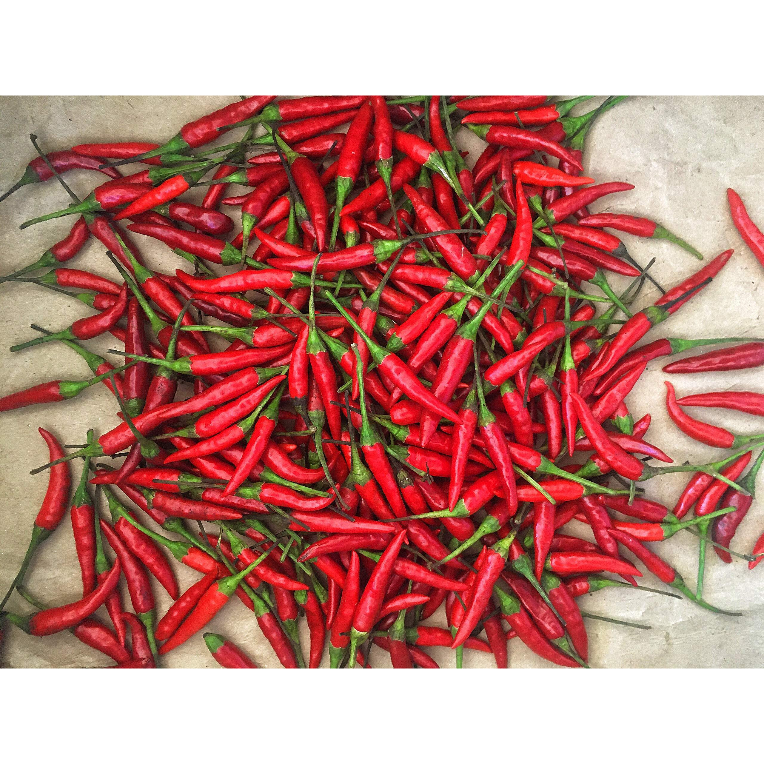 Kejora Fresh Red Thai Chili Peppers -1 Lb (16 Oz)