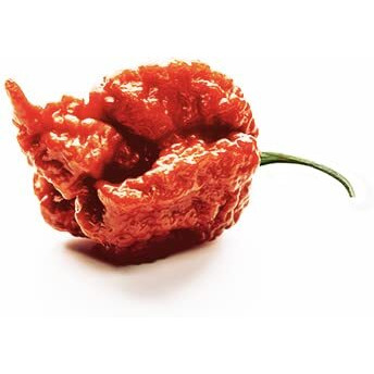Unpretentious Whole Dried Carolina Reaper Chiles, 25 Count, Extremely Spicy Chiles, Hot Sauce
