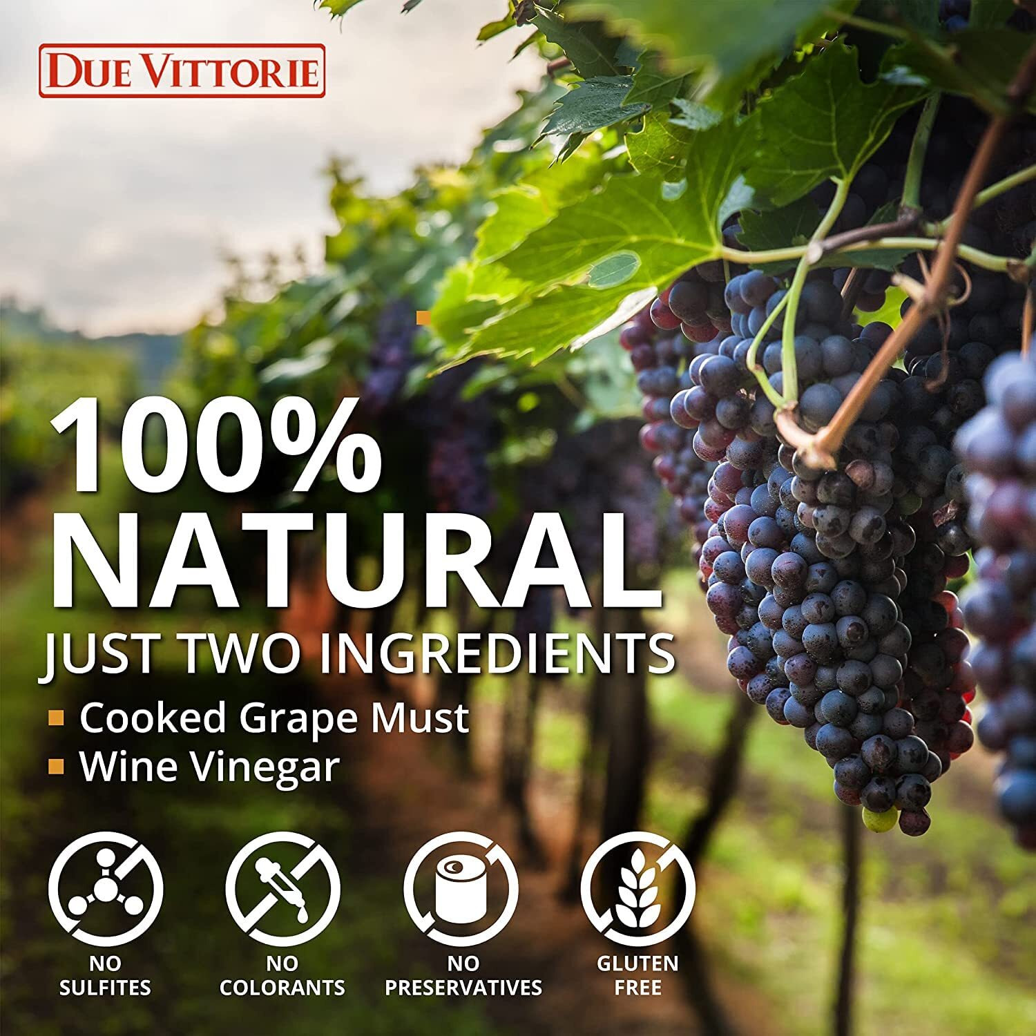 Due Vittorie Oro Gold, Barrel Aged Balsamic Vinegar Of Modena Igp With Cork Pourer, All-Natural, Extra Dense Premium Vinegar Aceto Balsamico Di Modena Igp Italy - 8.45 Fl Oz / 250Ml