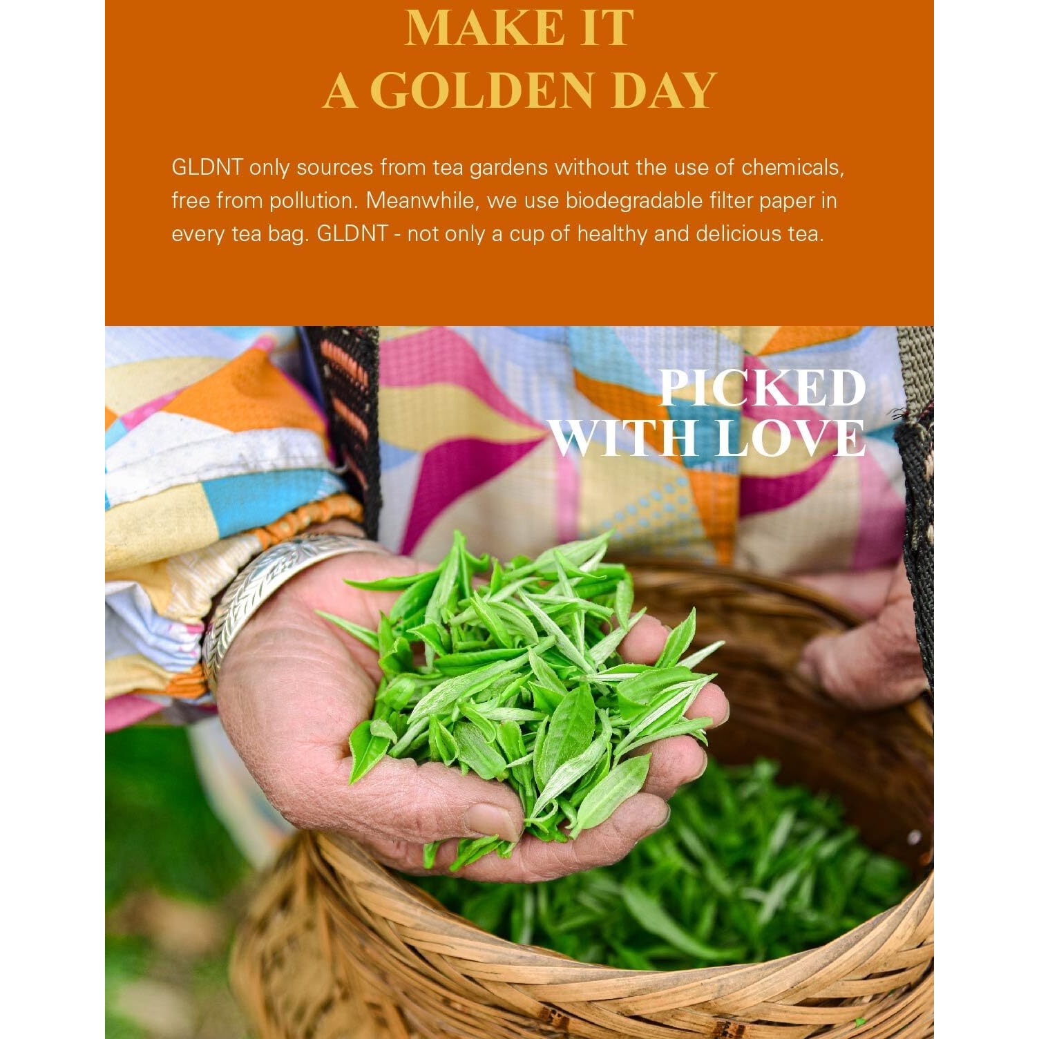 Gldnt Organic Oolong Tea Bags, Natural Organic Oolong Tea, Caffeinated, Hot & Iced Tea, 100 Count