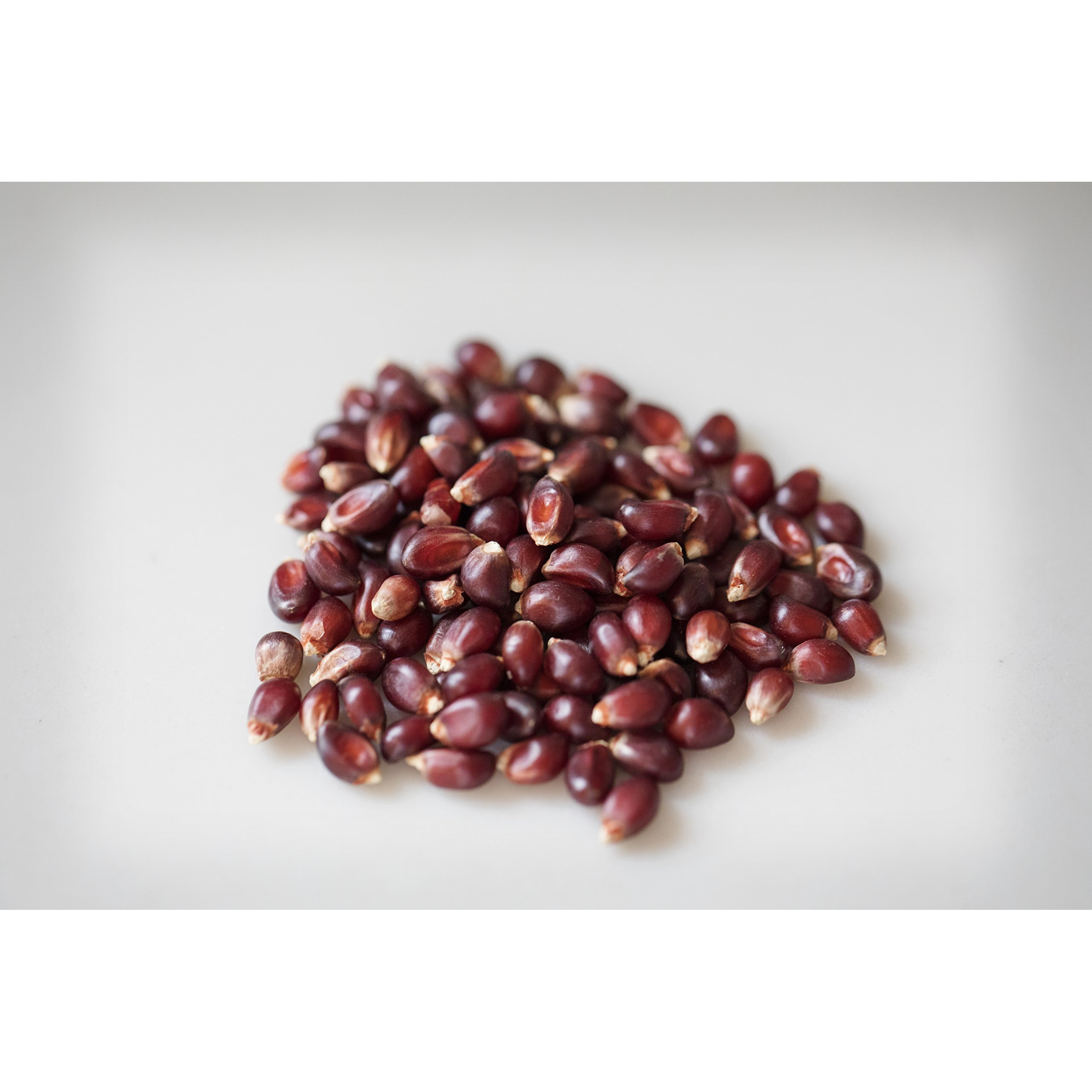 Amish Country Popcorn | 1 Lbs Bag | Red Popcorn Kernels | Old Fashioned, Non-Gmo And Gluten Free (Red - 1 Lbs Bag)