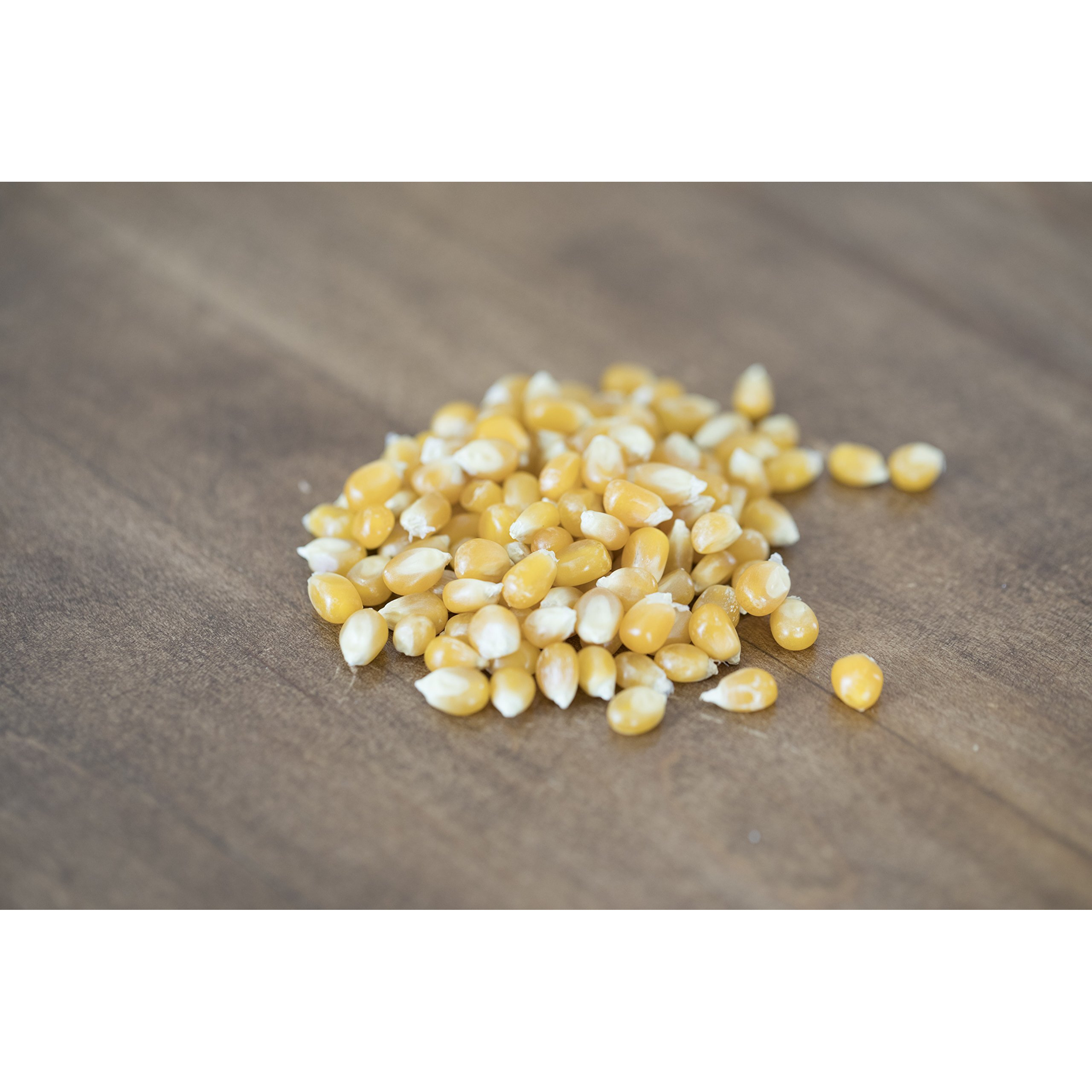 Amish Country Popcorn | 2 Lb Bag | Medium Yellow Popcorn Kernels | Old Fashioned, Non-Gmo And Gluten Free (Medium Yellow - 2 Lb Bag)