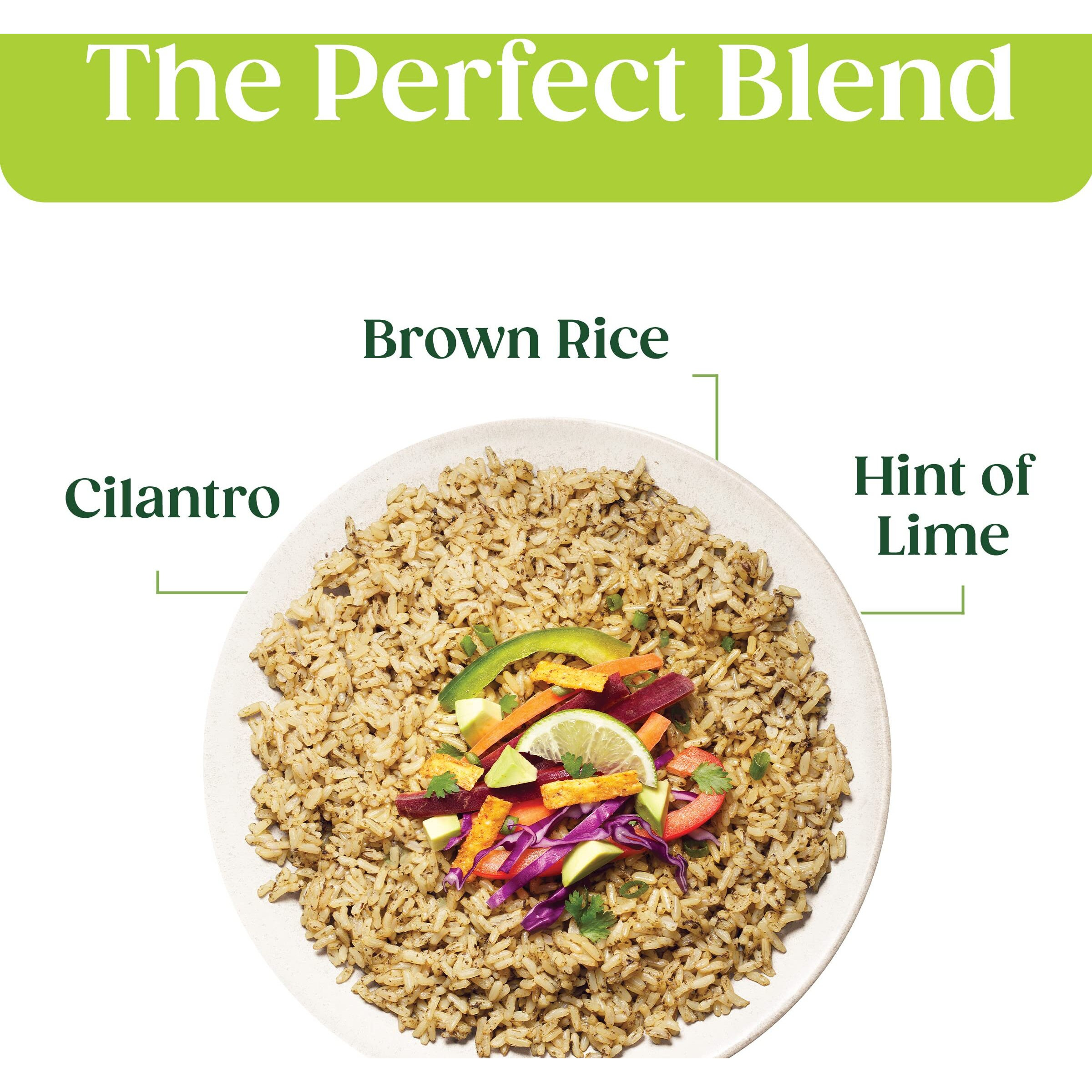 Seeds Of Change Organic Brown Jasmine Rice With Cilantro & A Hint Of Lime, Good Source Of Fiber, No Artificial Ingredients Or Preservatives, Vegetarian Friendly, Usda Certified Organic, Gluten Free & Non-Gmo, 8.5 Ounce (Pack Of 12)