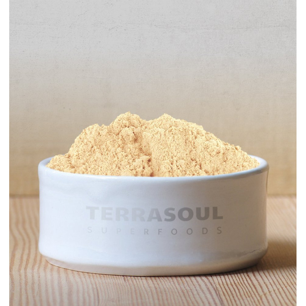 Terrasoul Superfoods Organic Ginger Powder, 2 Lbs (2 Pack) - Lab-Tested | Raw | Potent Spicy Flavor
