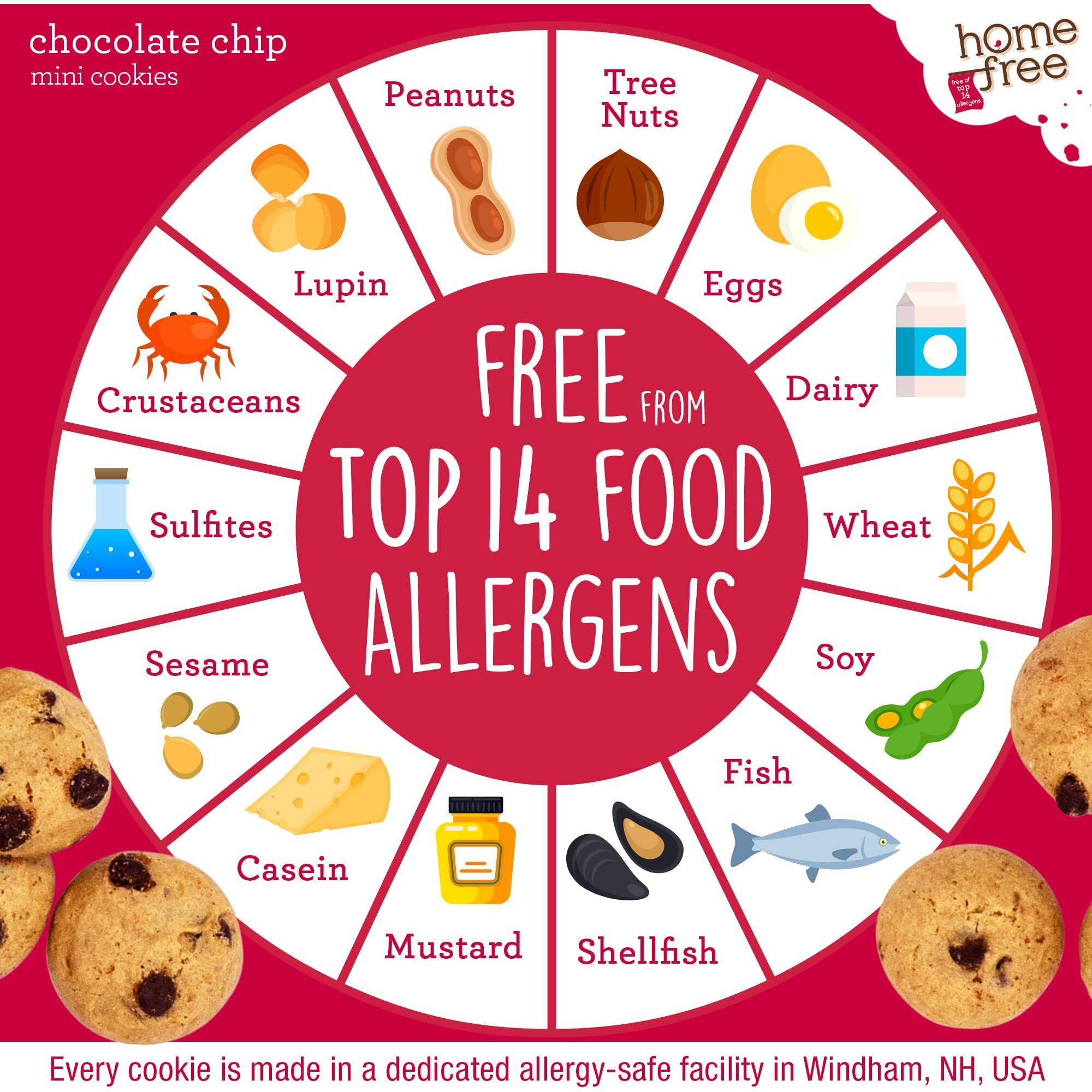 Homefree Mini Chocolate Chip Cookies, Gluten Free, Nut Free, Vegan, School Safe And Allergy Friendly Snack, 5 Oz. Box (Pack Of 6)