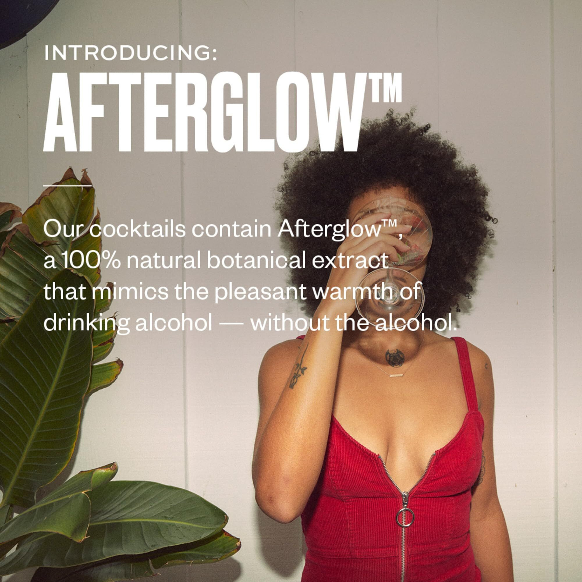 Free Af Non-Alcoholic Whiskey Ginger, Ready To Drink Mocktail With Afterglow, Low Calories, Smoky & Zesty, 8.4 Fl Oz Cans (12 Pack)