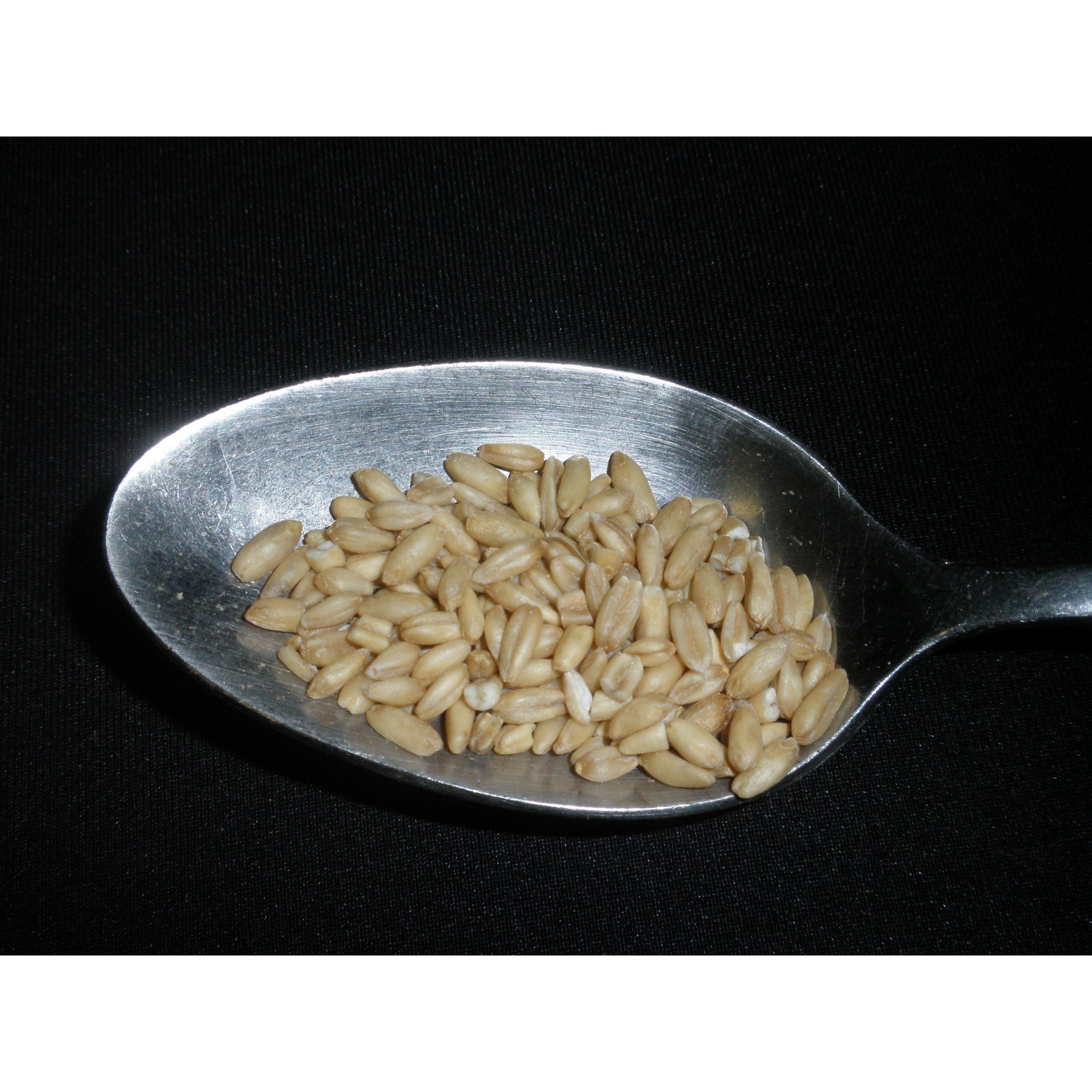 Whole Oats 5 Pounds Hulled, Groats, Usda Certified Organic Non-Gmo Bulk, Mulberry Lane Farms