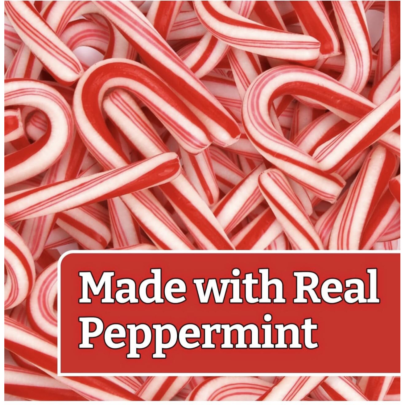 Peppermint Mini Candy Canes (96 Individually Wrapped Candies) Bulk Christmas Candy | Bundled With Free Sameday Shippers Fun Sticker