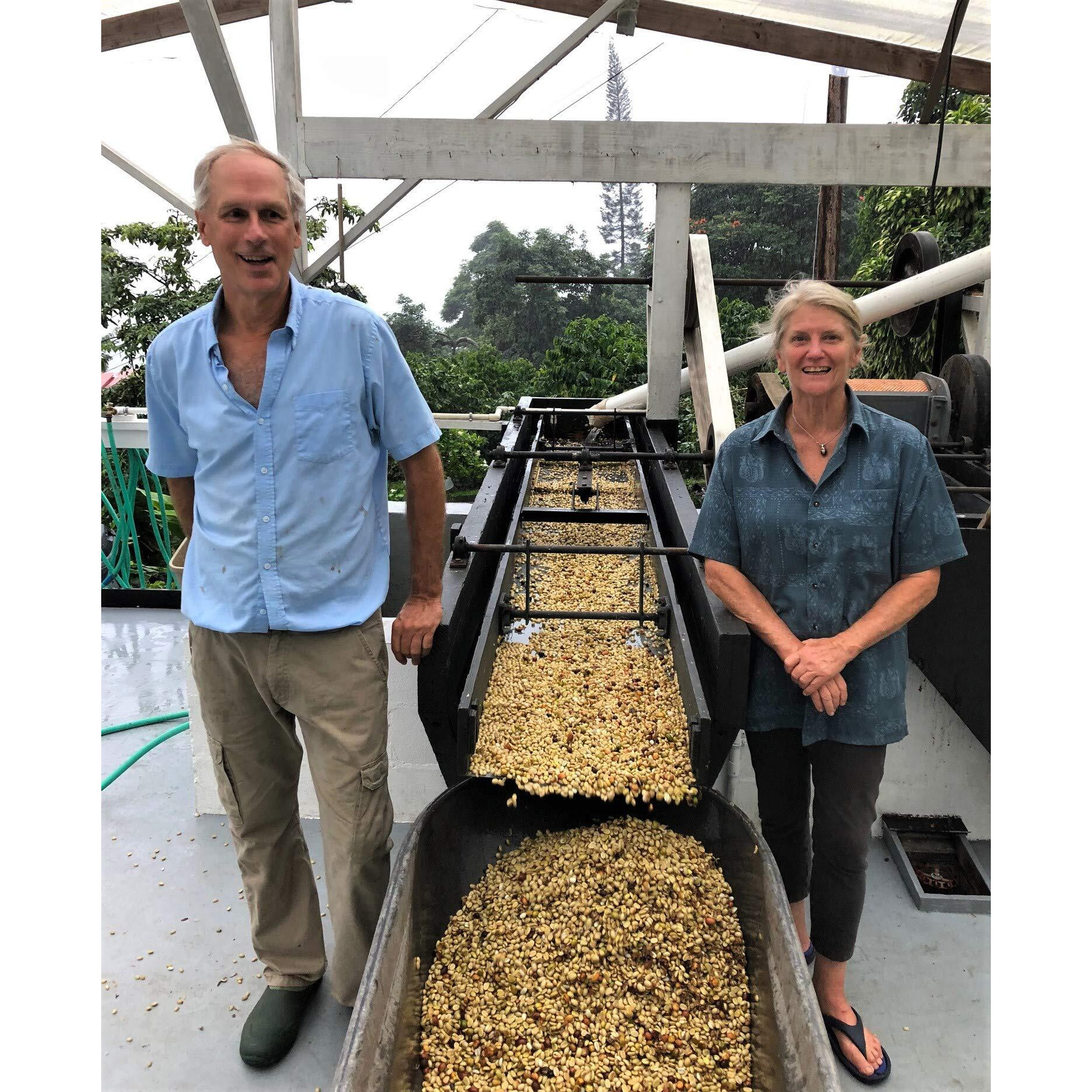 100% Kona Coffee - Whole Bean, Medium Roast, Single Estate Gourmet Coffee, 8 Ounces, Farm Fresh Roasted From Domain Kona Coffee