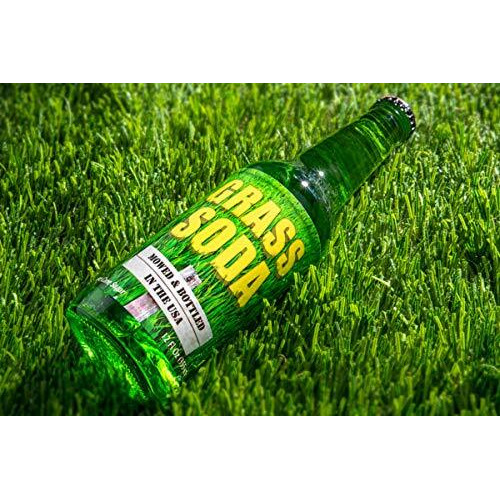 Grass Soda Pop, Weird And Surprising Soda