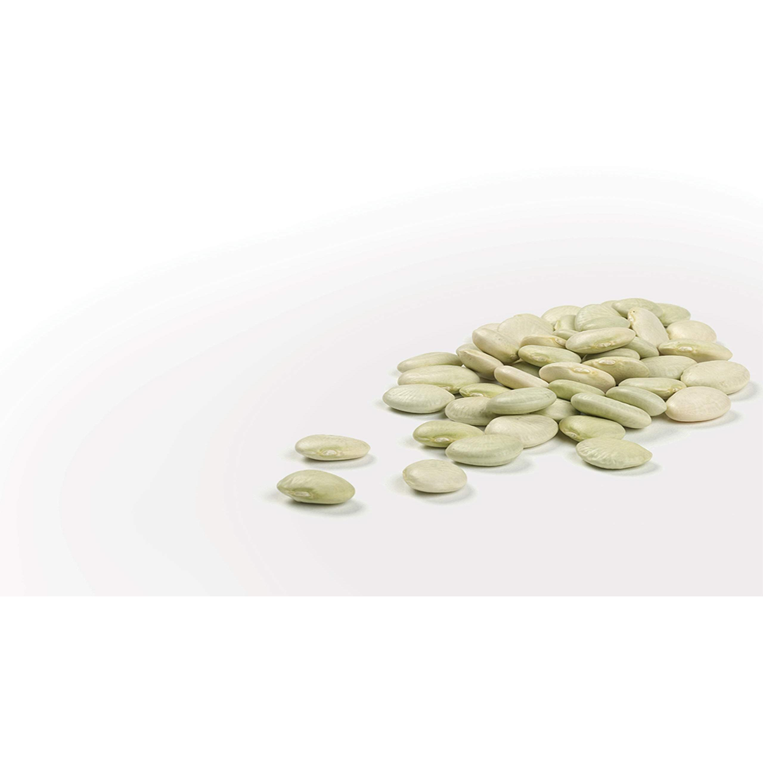 Camellia Brand Dried Green Baby Lima Beans, 1 Pound (Pack Of 6)