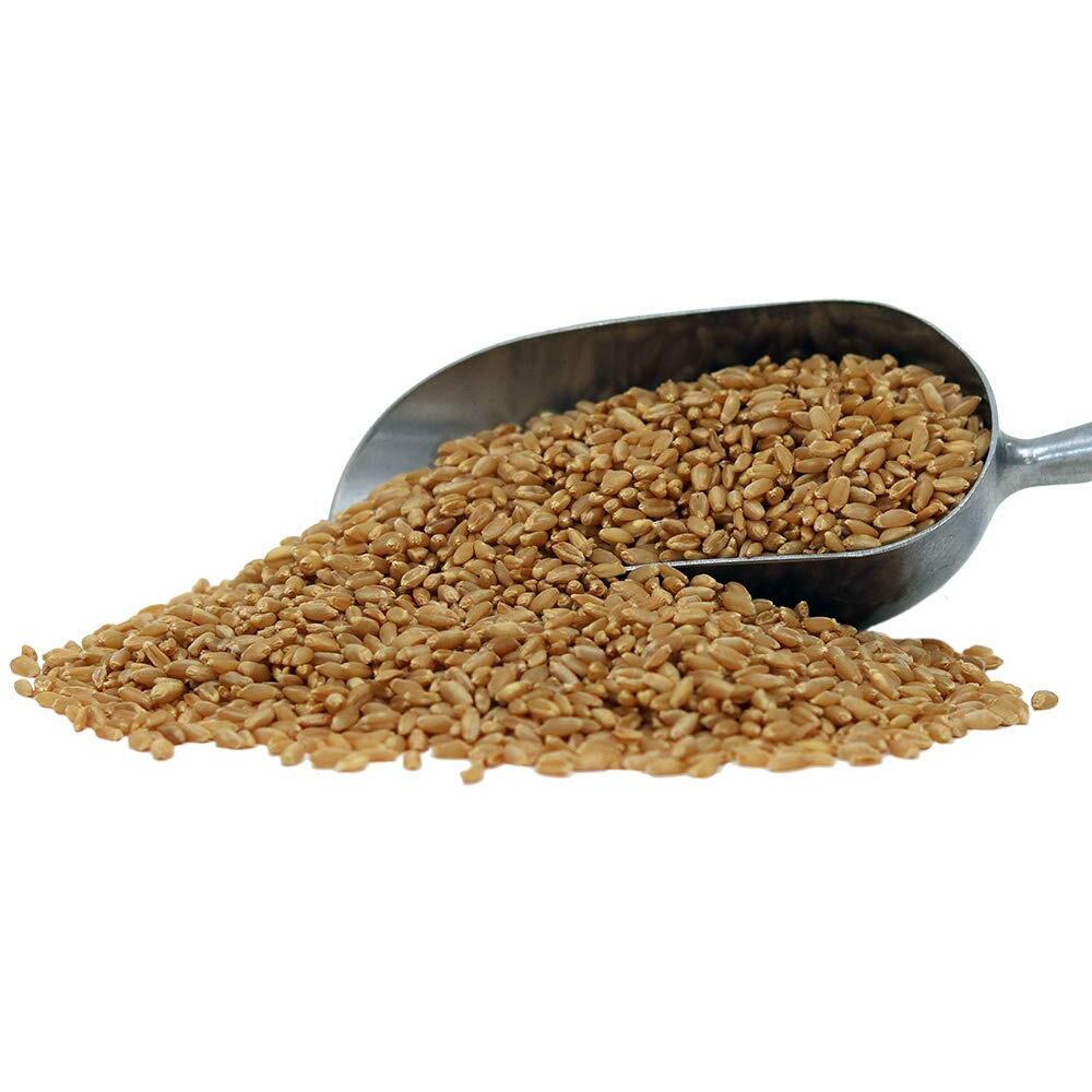 Organic Hard White Wheat Berries