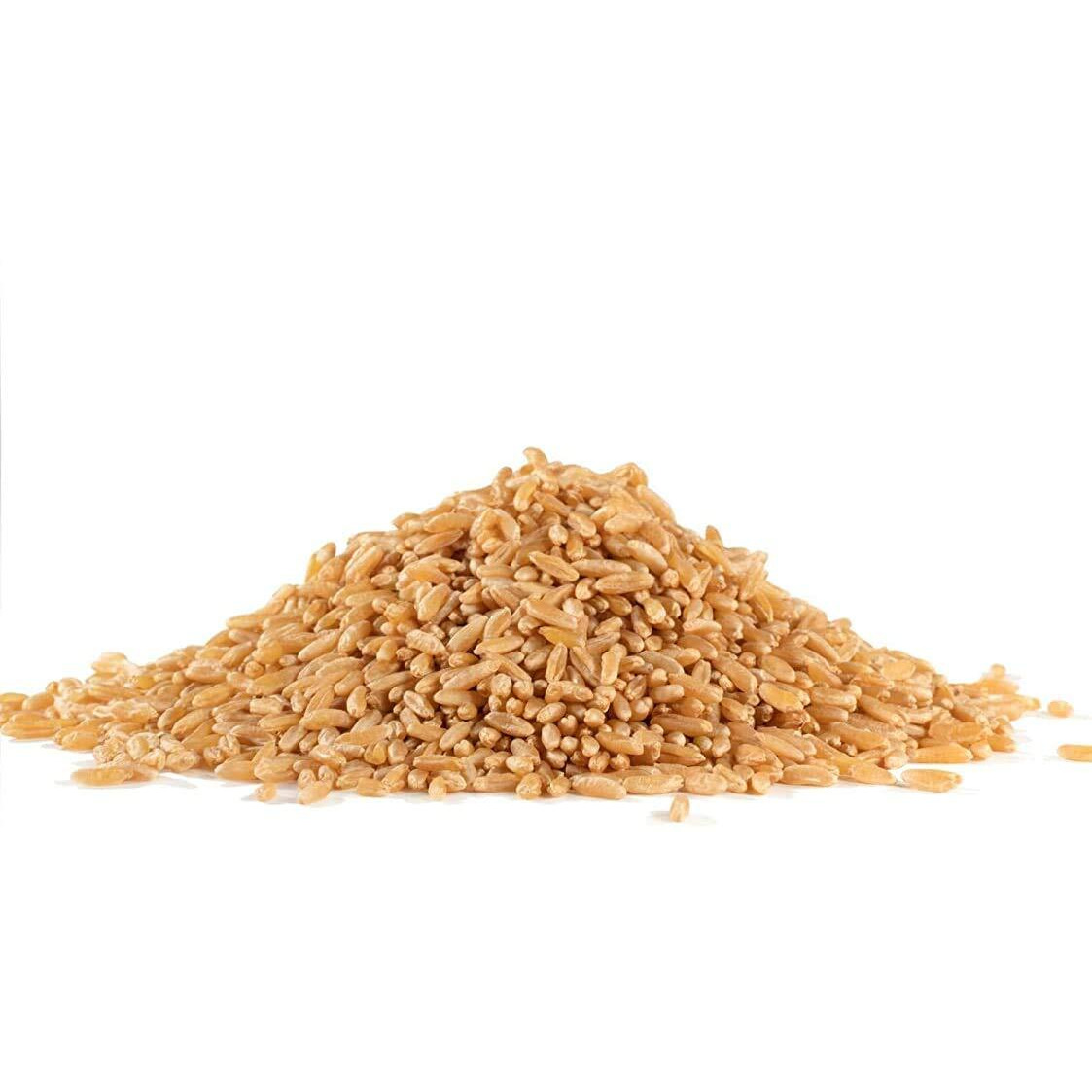 Bob's Red Mill Organic Kamut Khorasan Berries, 24 Ounce (Pack Of 3)