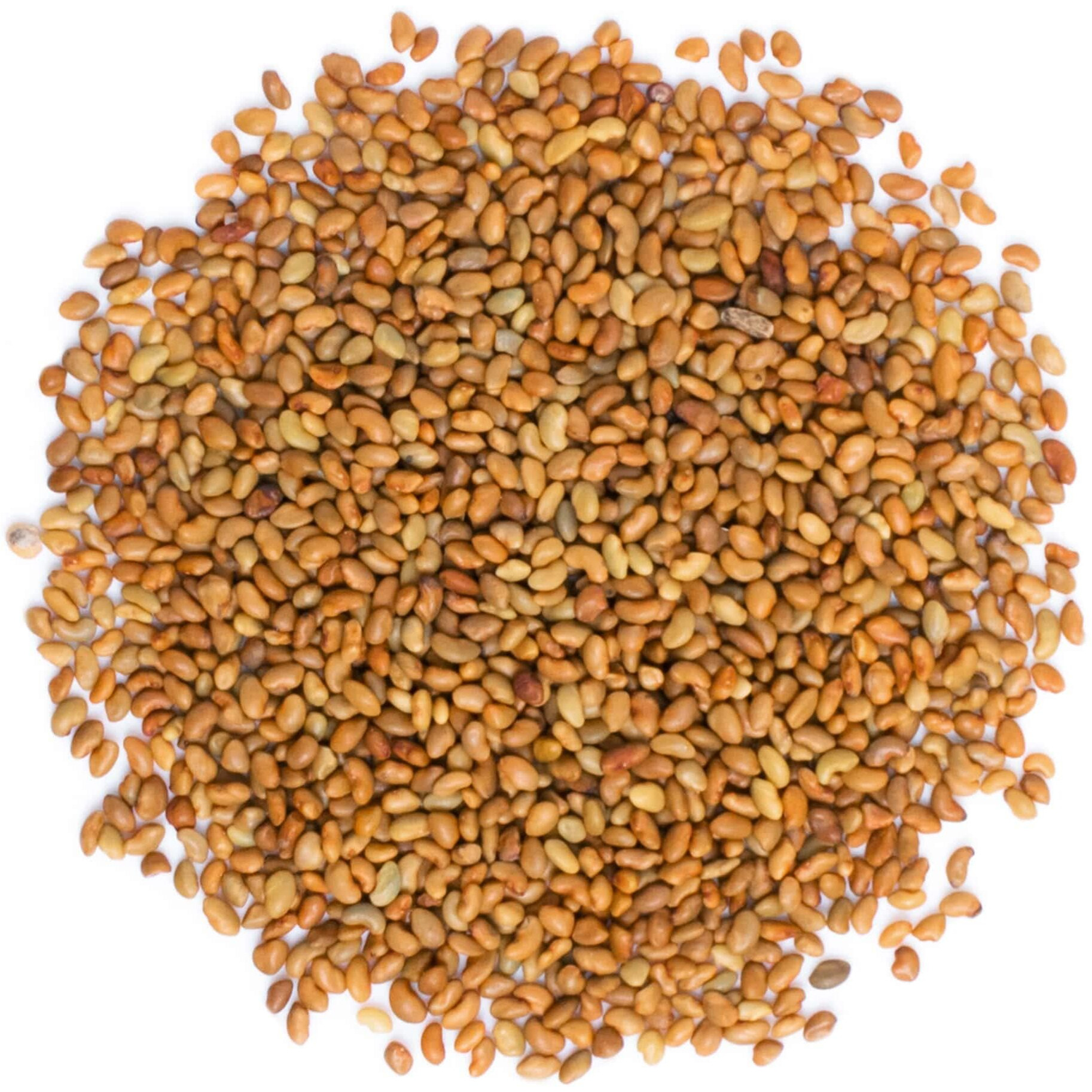 Food To Live - Organic Alfalfa Seeds For Sprouting, 8 Ounces Non-Gmo, Edible Seeds, Pure, Vegan, Kosher, Bulk. Rich In Vitamin K, Vitamin C.