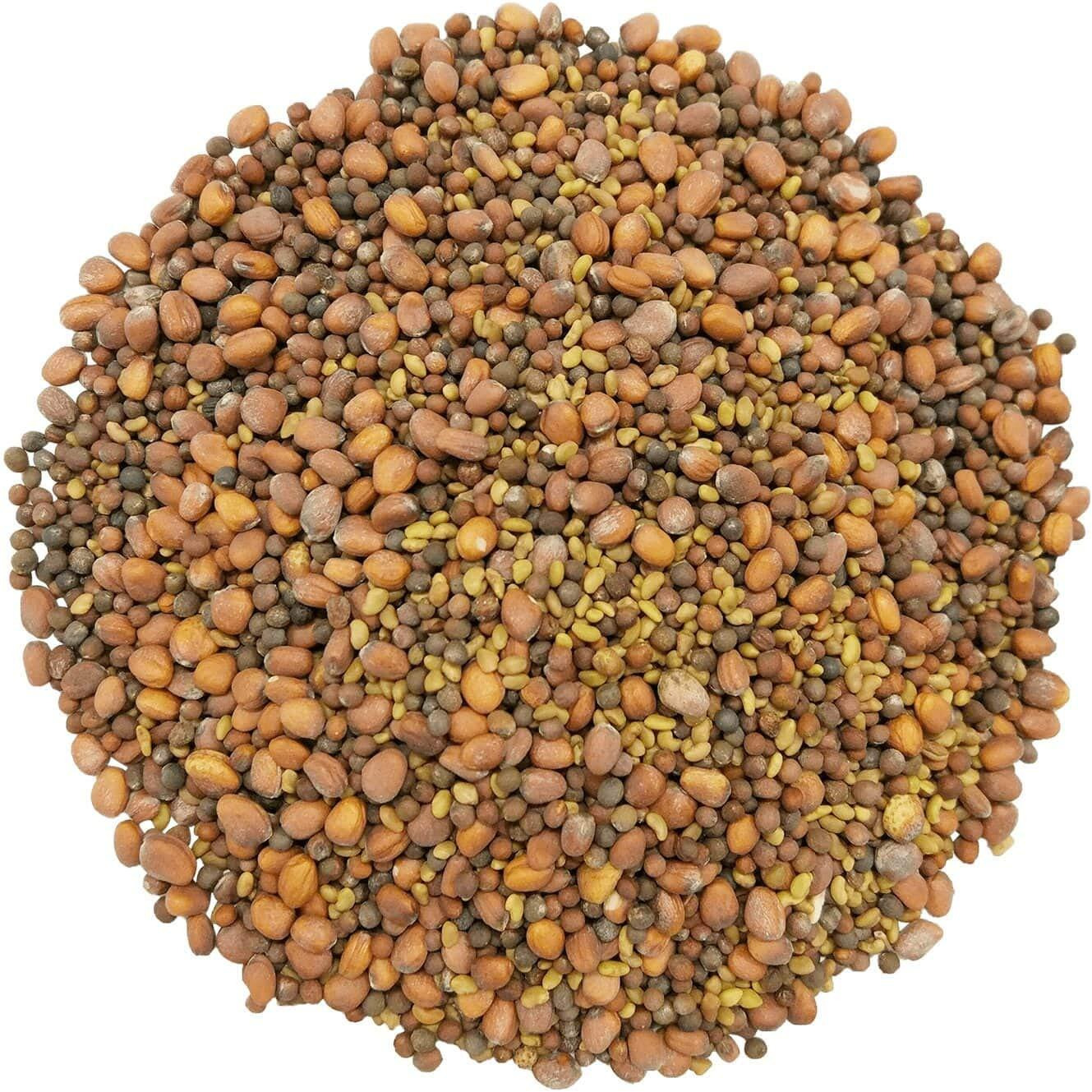 Food To Live Organic Spicy Mix Of Sprouting Seeds, 12 Ounces - Non-Gmo Broccoli, Radish, Alfalfa, Raw, Rich Germination Rate, Non-Irradiated, Pure, Kosher, Vegan Superfood, Bulk, Rich In Sulforaphane