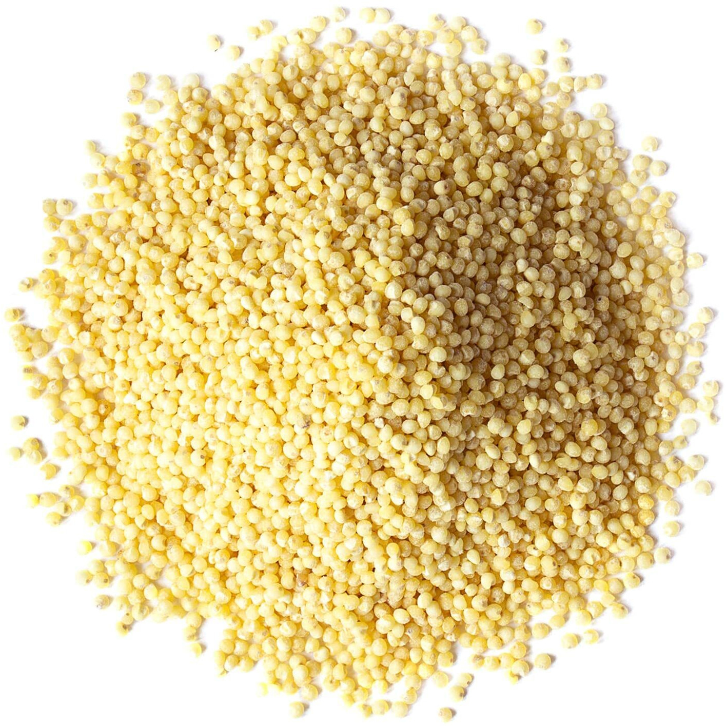 Food To Live Hulled Millet, 1.5 Pounds - Whole Grain Seeds, Kosher, Raw, Bulk