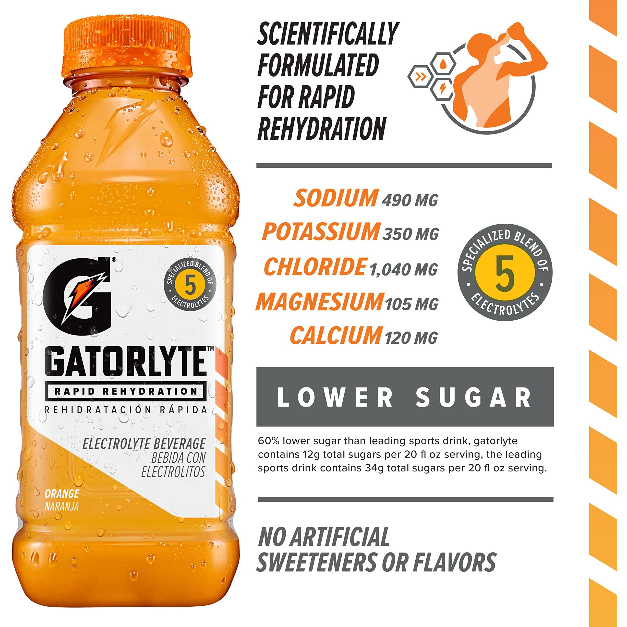 Gatorlyte Rapid Rehydration Electrolyte Beverage, 3 Flavor Variety Pack, 20 Fl Oz (Pack Of 12)