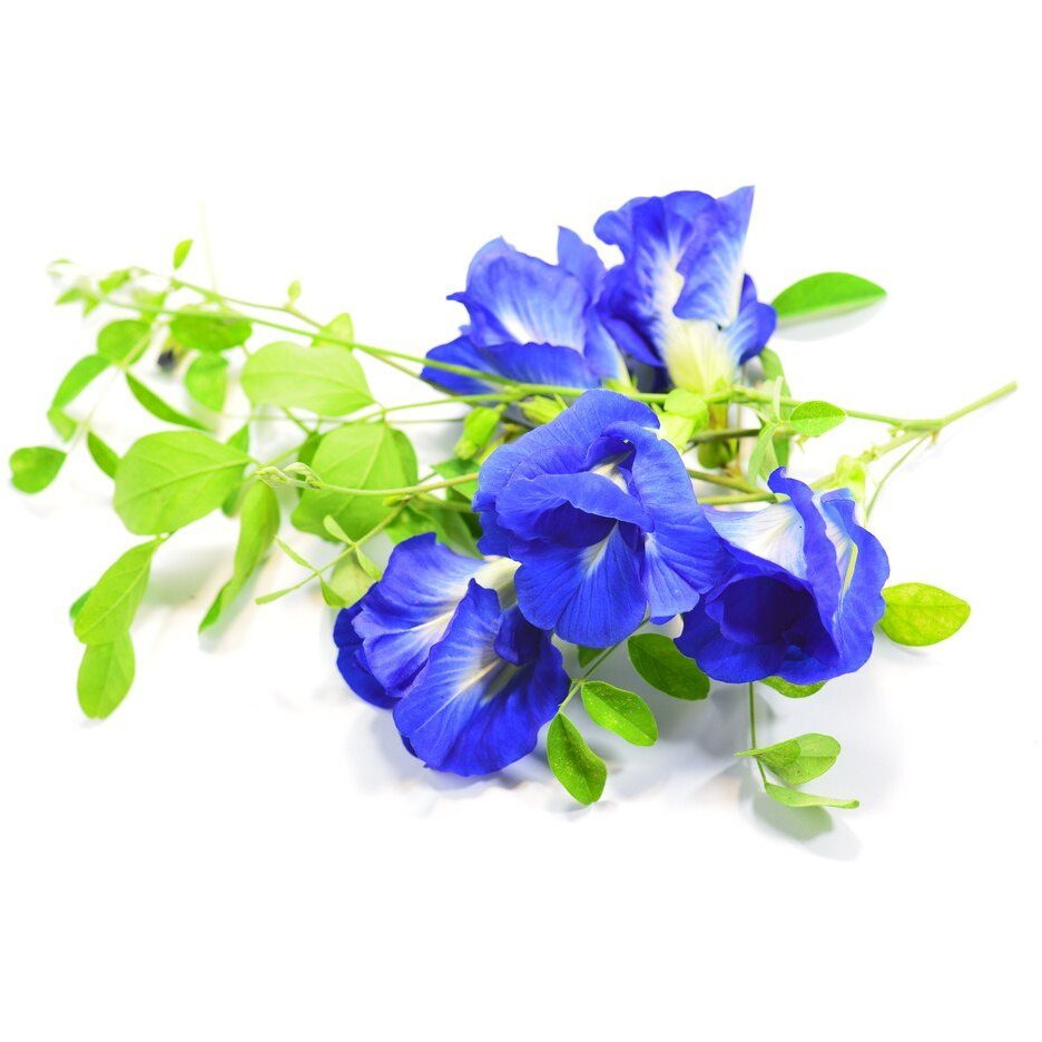 Butterfly Pea Flowers Whole, Dried Herb 100% (1000 G)