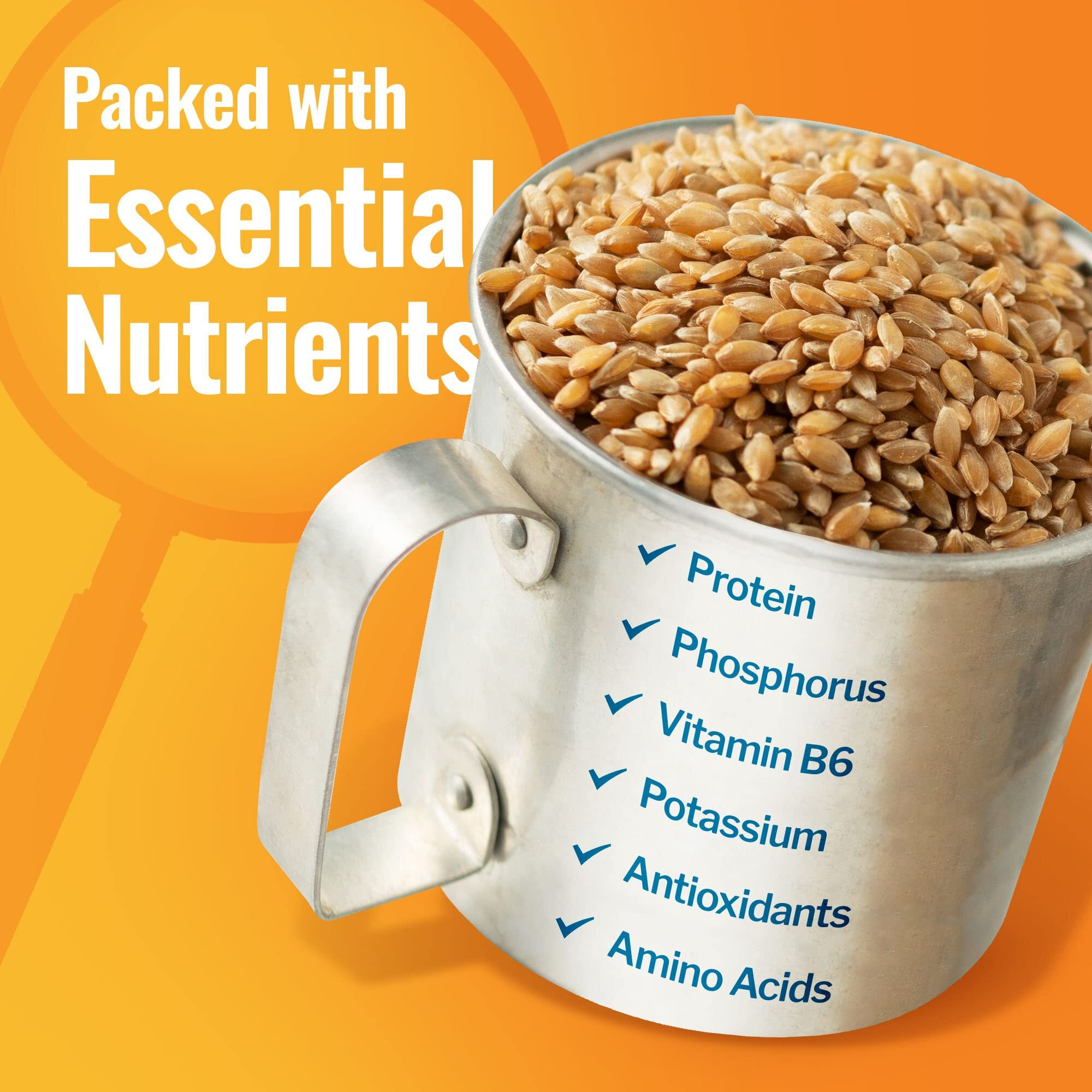 Grand Teton Ancient Grains - 100% Organic Einkorn Berries, Premium Food-Grade Farro Piccolo, For Milling Into Flour, Baking, Pilafs, & Soups, 25 Lbs