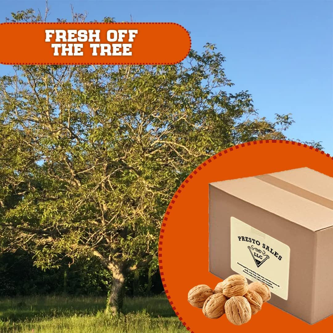 Presto Sales Walnuts Current New Crop In Shell Huge Hartley Choice Nut, Grown In California, Number One Quality - Packed In A 5 Lbs. (80 Oz.) Bag/Box - Low-Carb, High-Protein