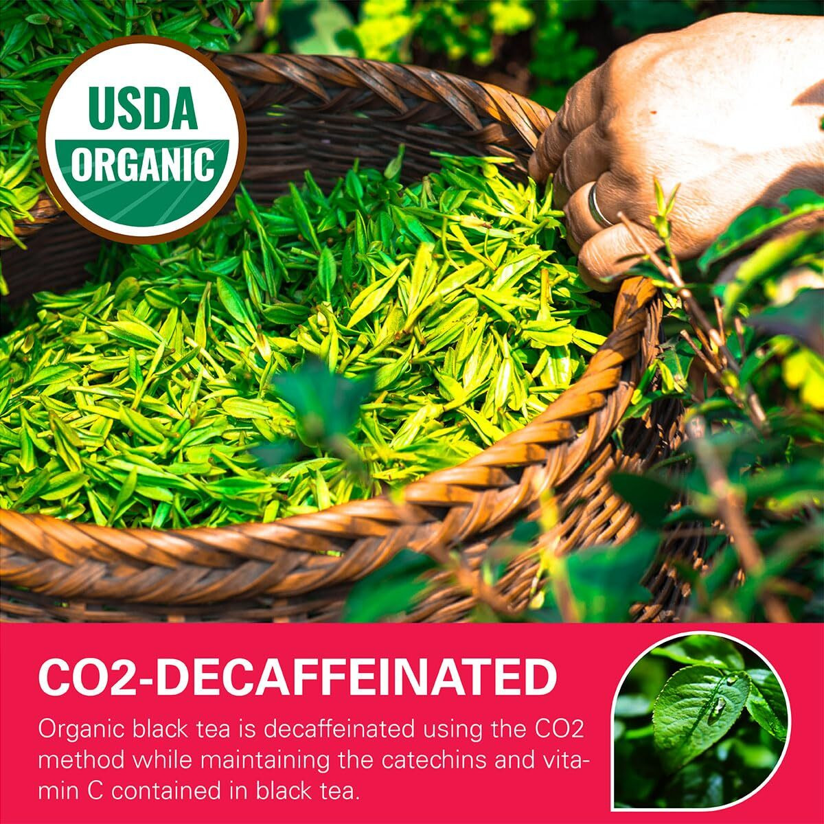 Wt Weetee Organic Decaf Black Tea Bags, Usda Organic Black Tea 100 Count | Smooth & Mild Taste | Co2-Decaffeinated | Resealable Kraft Bag