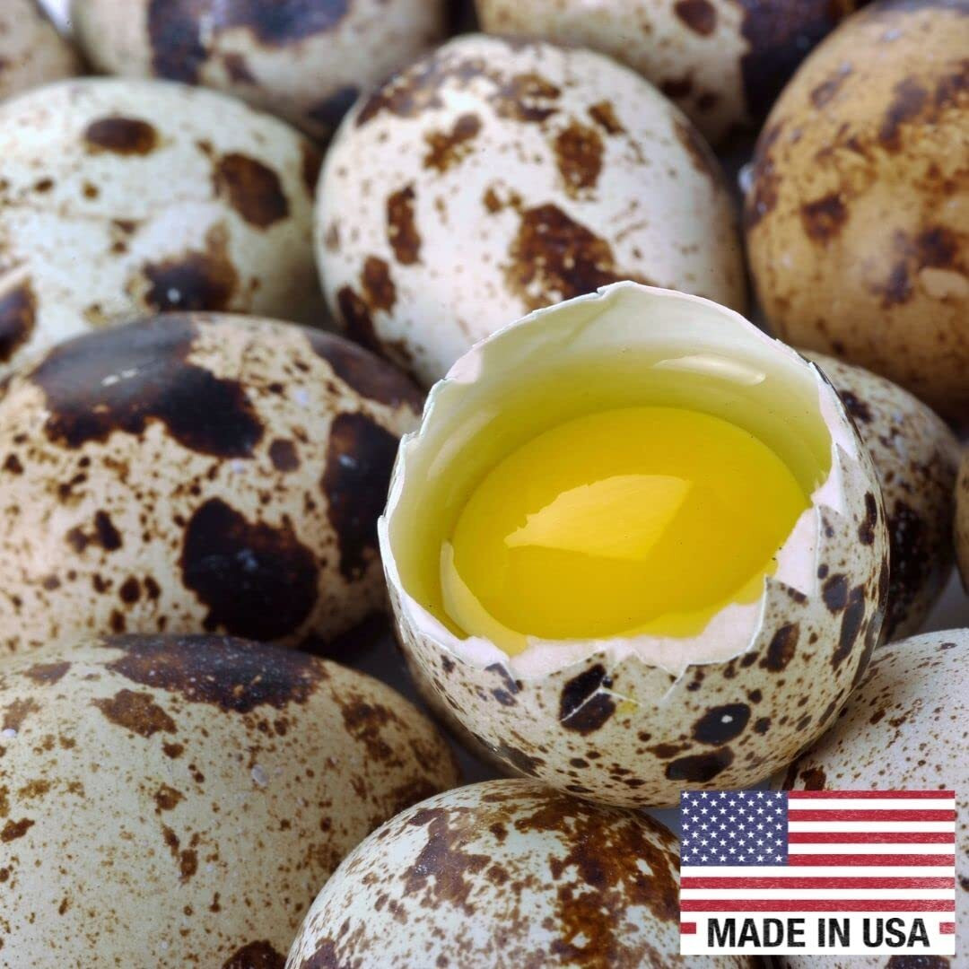 Fresh Quail Eggs(24)
