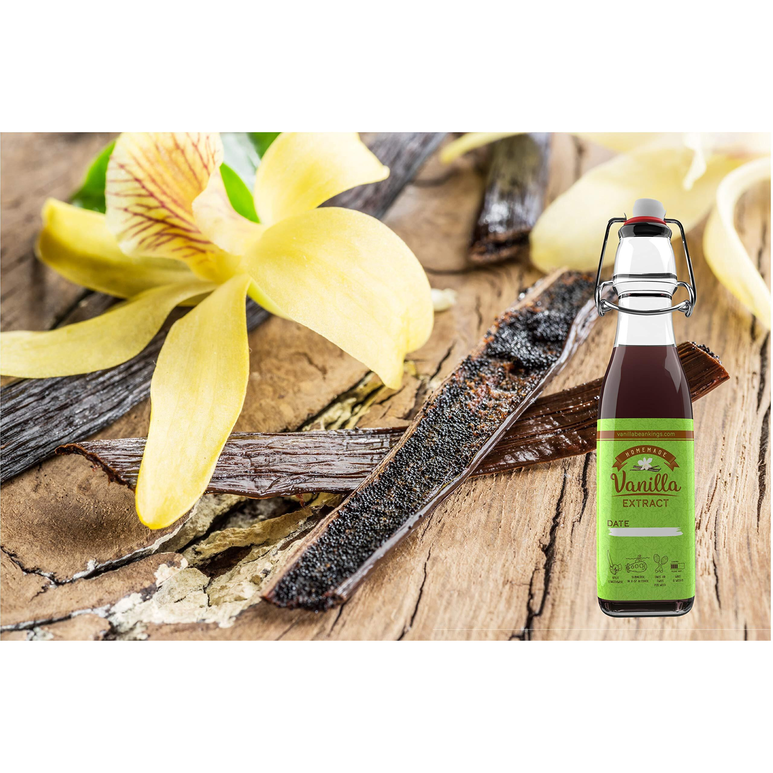 Homemade Vanilla Extract Kit | Diy | 1 Ounce Of Premium Organic Madagascar Grade A Vanilla Beans 6-7 Inches (Appoximately 8-10 Beans) With 8.5 Oz Swing Top Glass Bottle | For Cooking And Baking