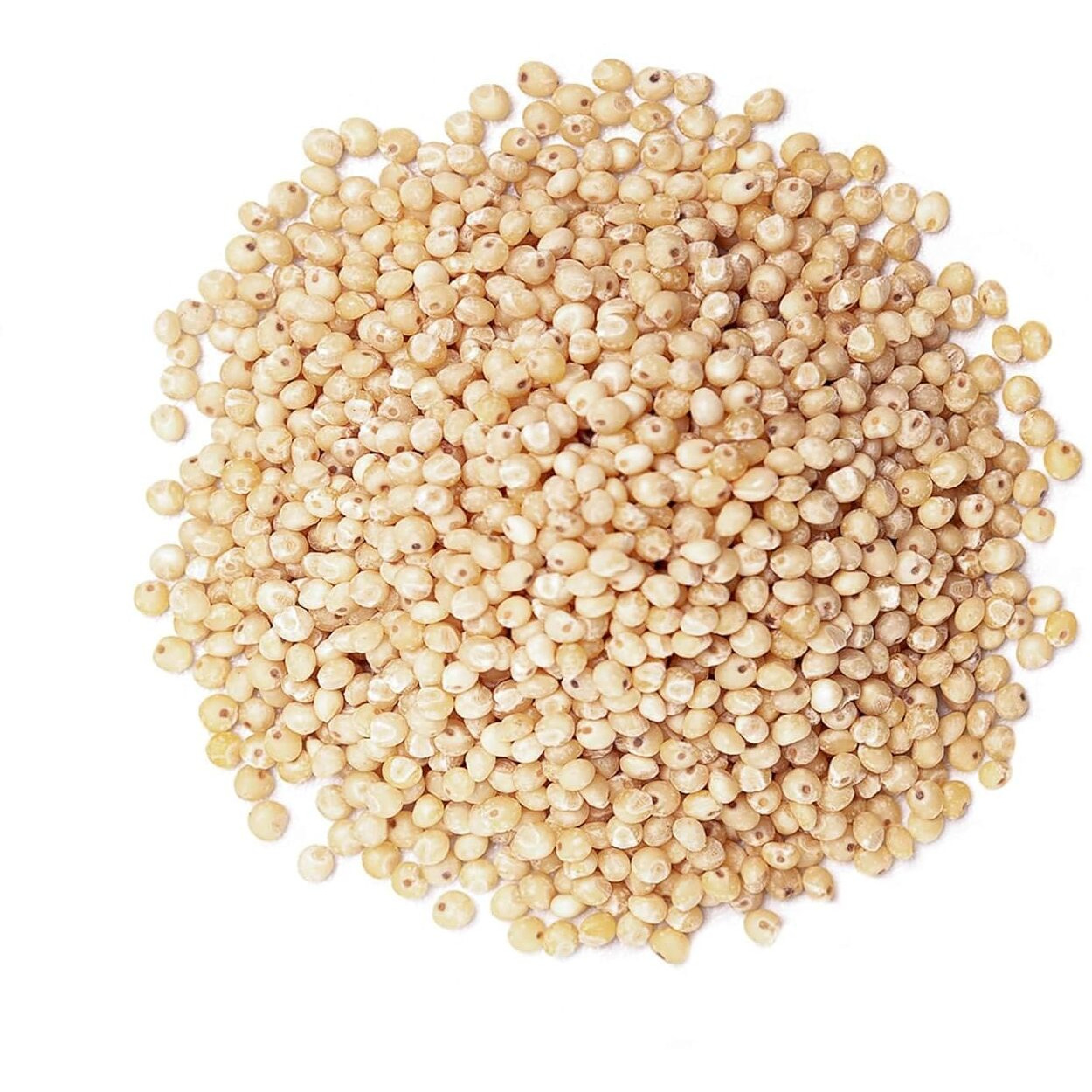 Food To Live Organic Whole Grain Sorghum, 25 Pounds - Non-Gmo White Groats. Raw Milo Seeds. Vegan, Bulk Broom-Corn. Durra Is Great For Making Flour And Popped Jowar Dhani