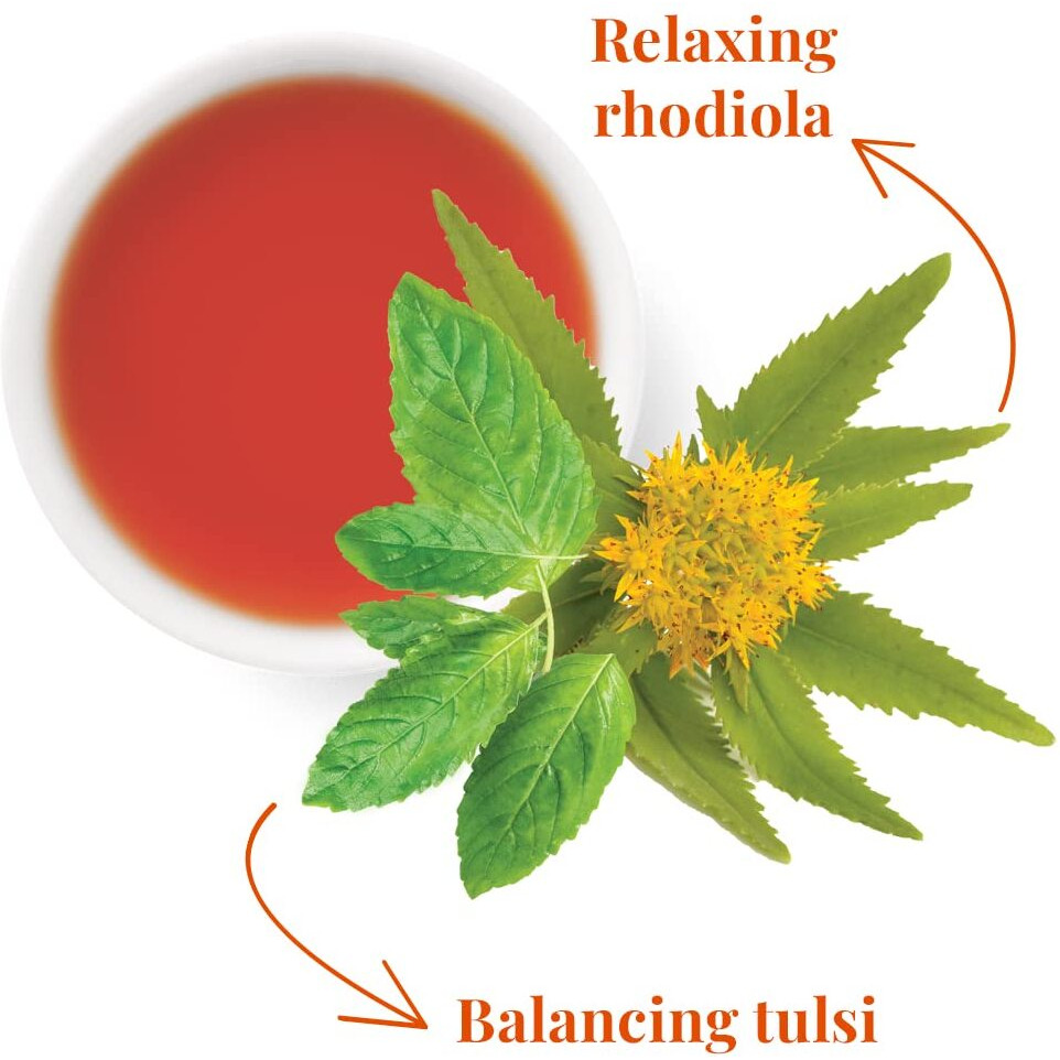 The Republic Of Tea - Superadapt Stress Suppress Herbal Tea, 36 Tea Bags, Organic, Caffeine Free, Tulsi And Rhodiola Herbal Tea