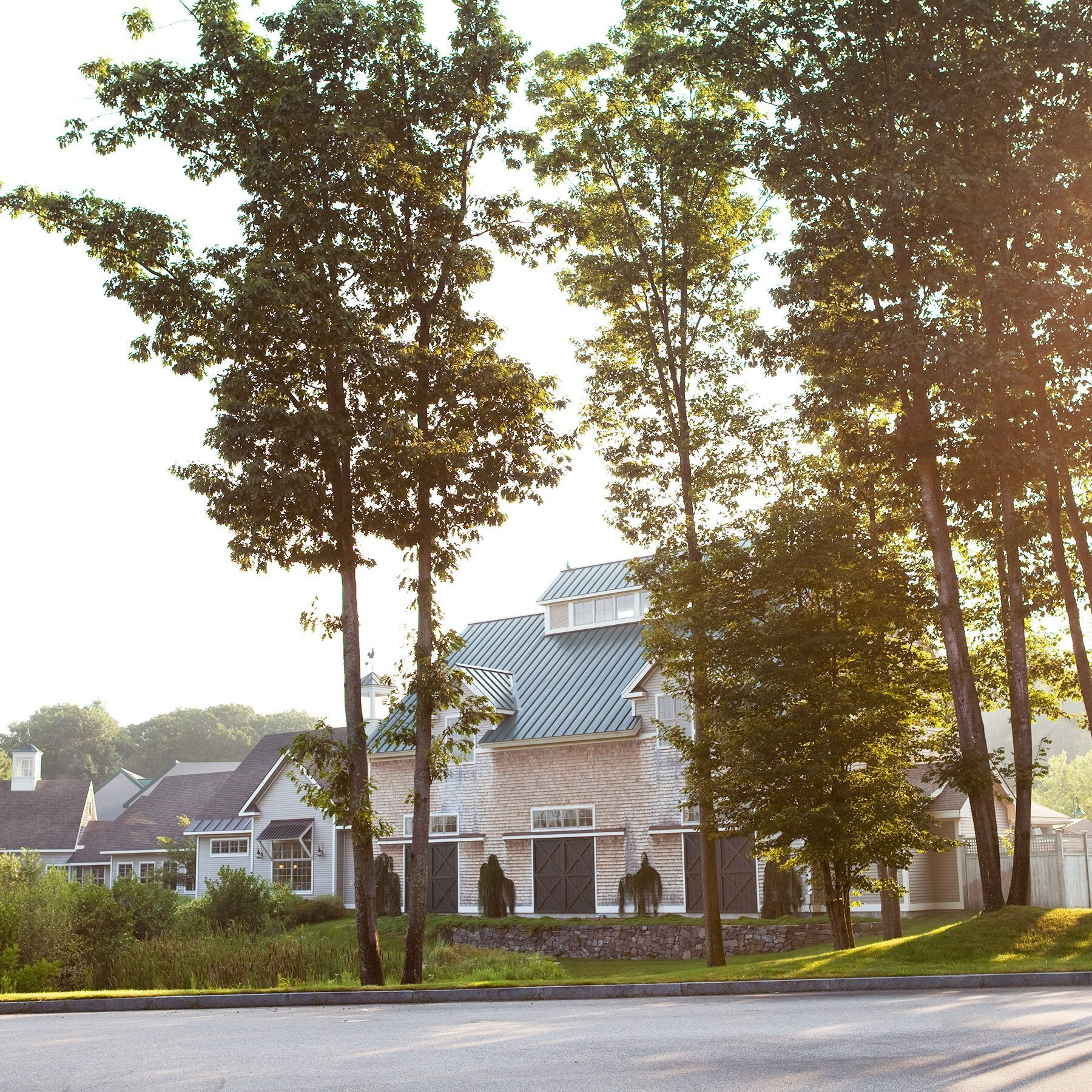 Stonewall Kitchen Chicken Marsala Simmering Sauce, 17.75 Ounces